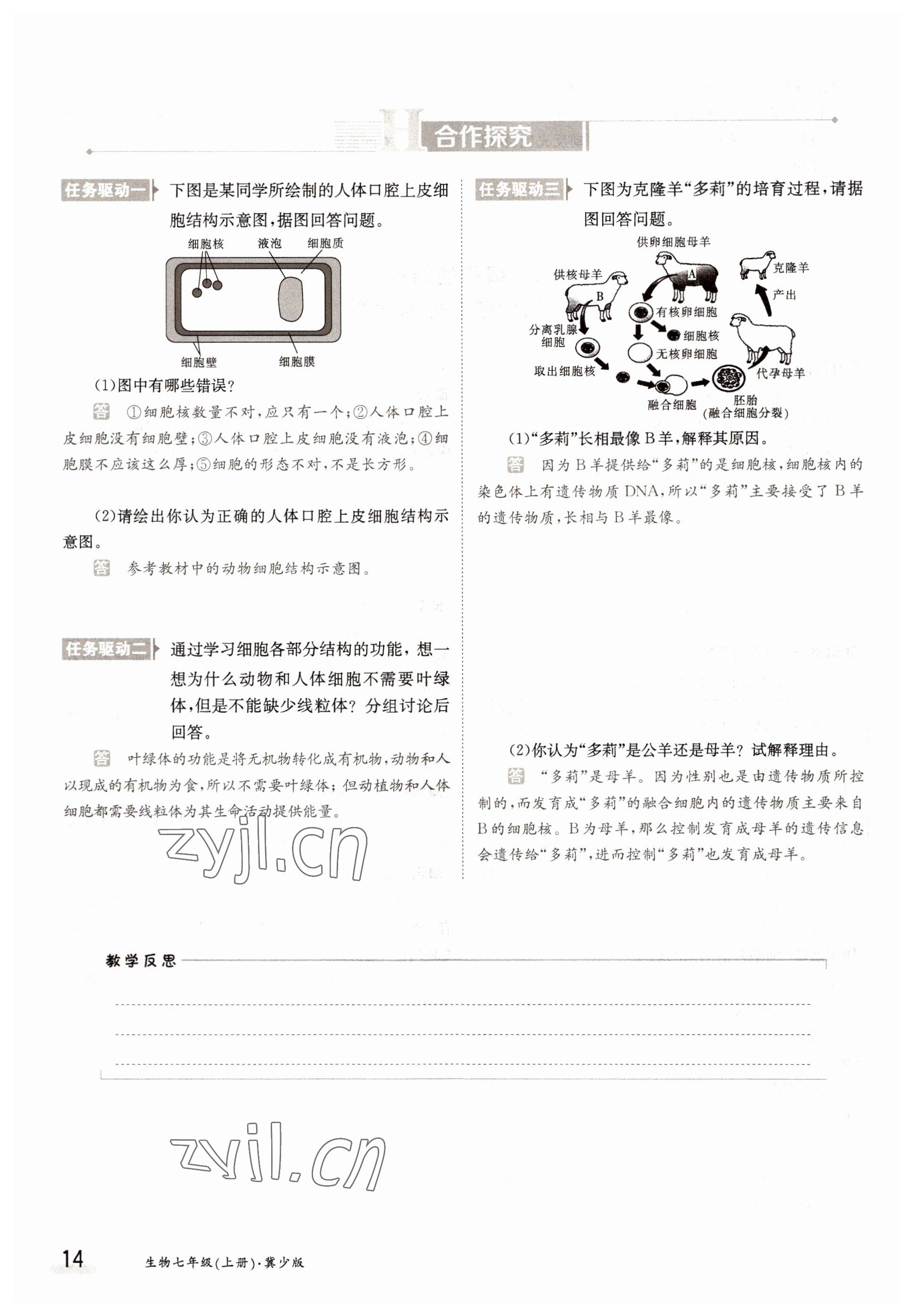 2022年金太陽導(dǎo)學(xué)案七年級(jí)生物上冊(cè)冀少版 參考答案第14頁