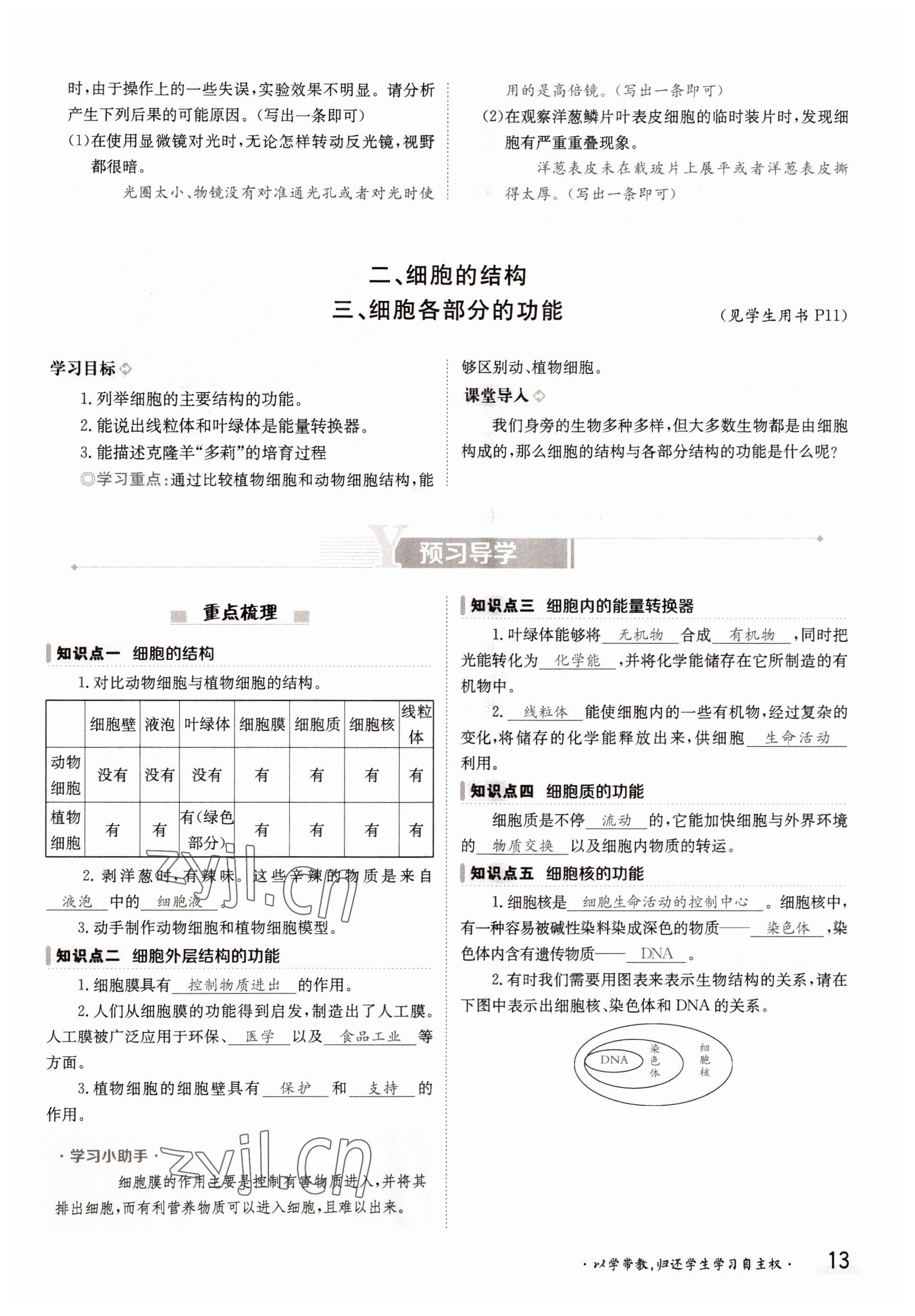 2022年金太陽導(dǎo)學(xué)案七年級(jí)生物上冊冀少版 參考答案第13頁