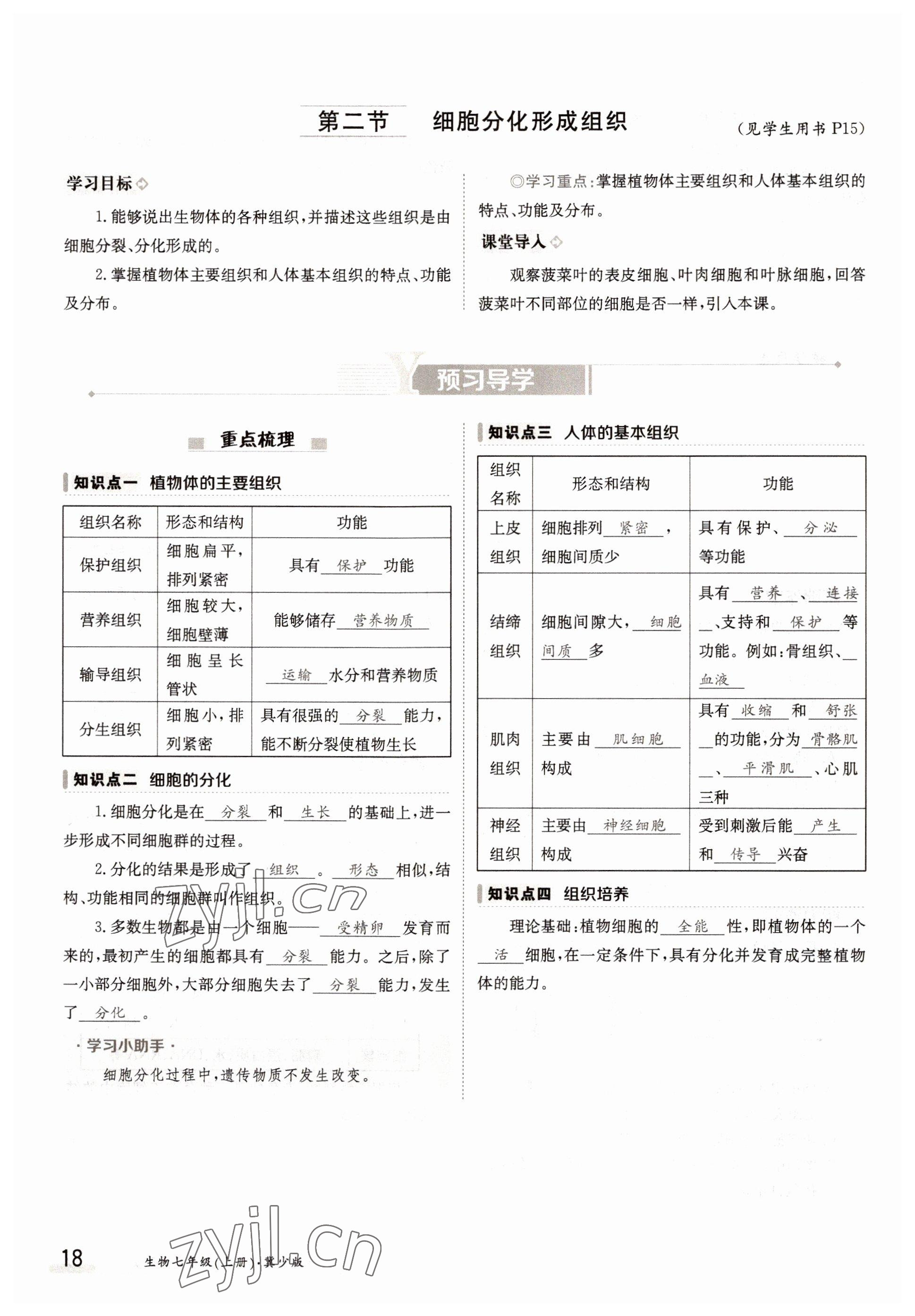 2022年金太陽導(dǎo)學(xué)案七年級生物上冊冀少版 參考答案第18頁