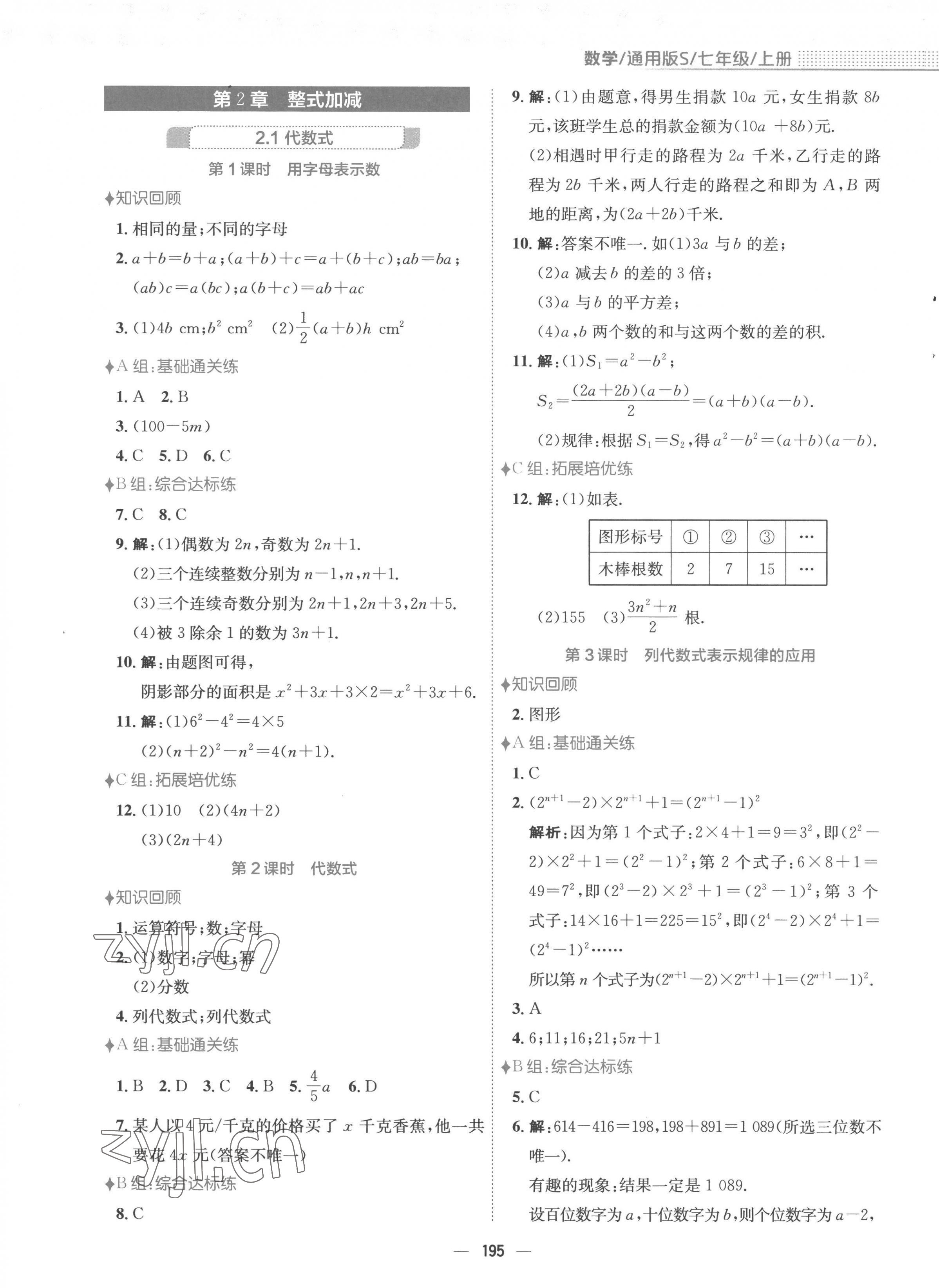 2022年新编基础训练七年级数学上册沪科版 第11页