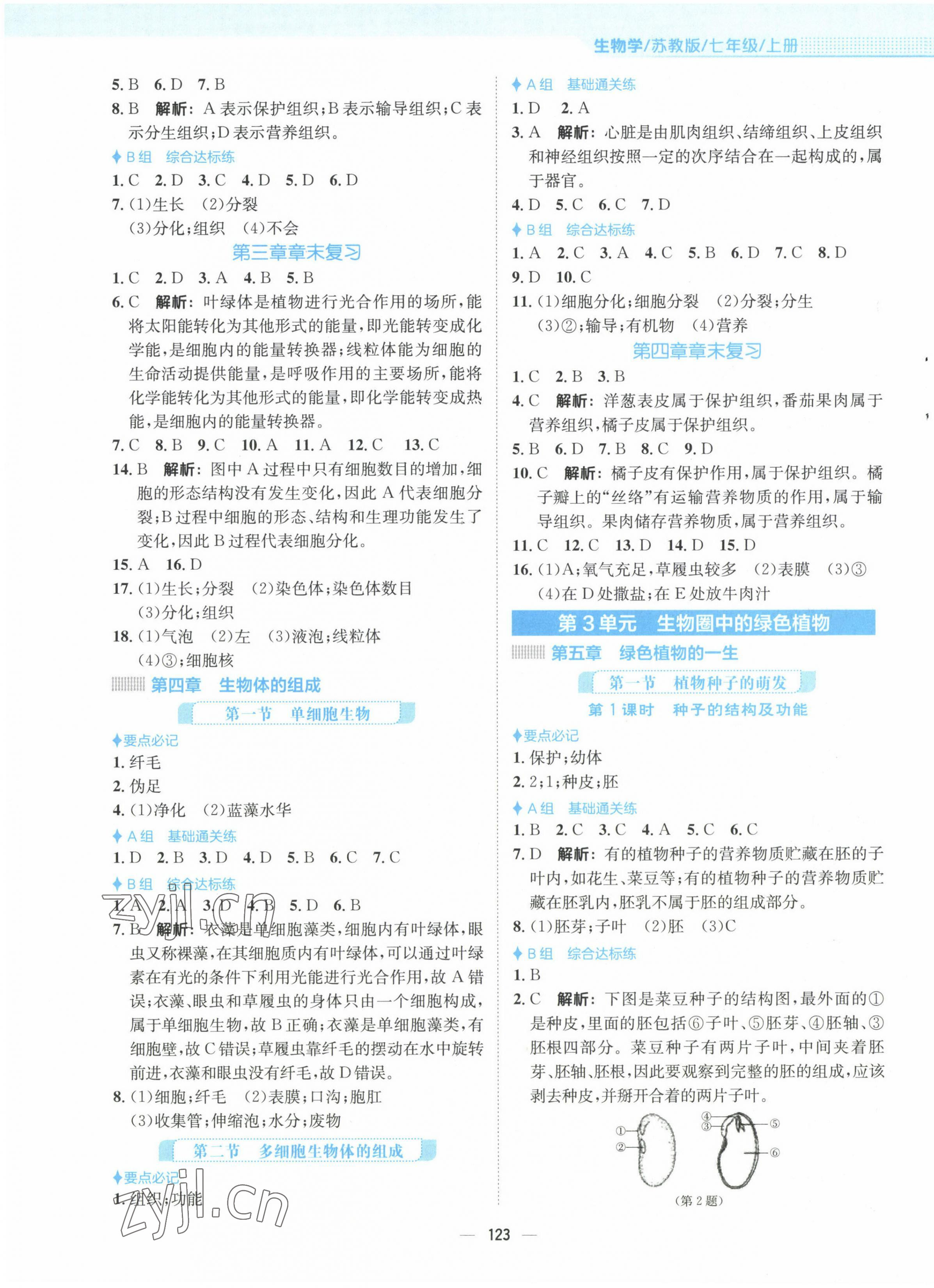 2022年新編基礎(chǔ)訓(xùn)練七年級生物上冊蘇教版 第3頁