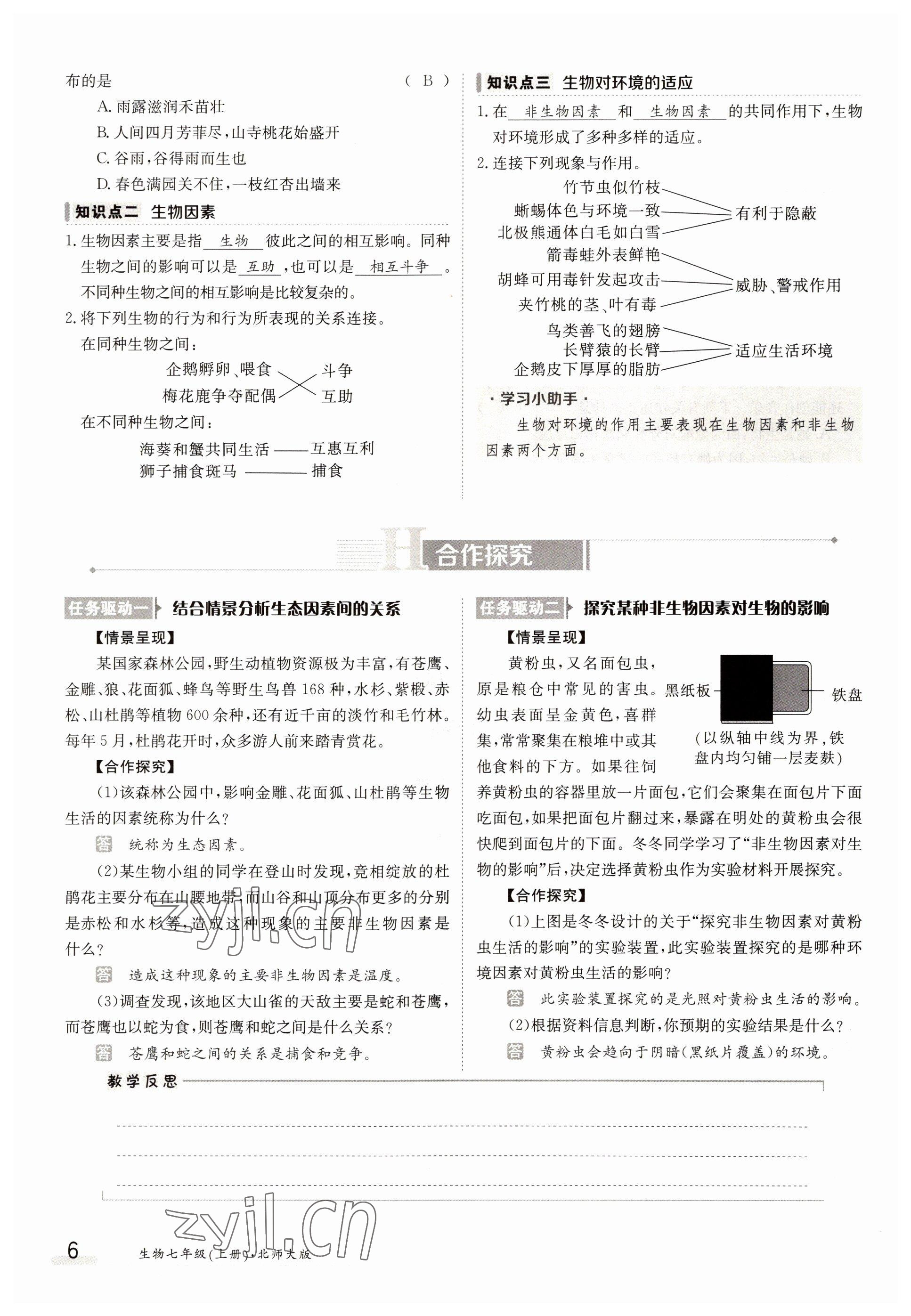 2022年三段六步導(dǎo)學(xué)案七年級(jí)生物上冊(cè)北師大版 參考答案第6頁