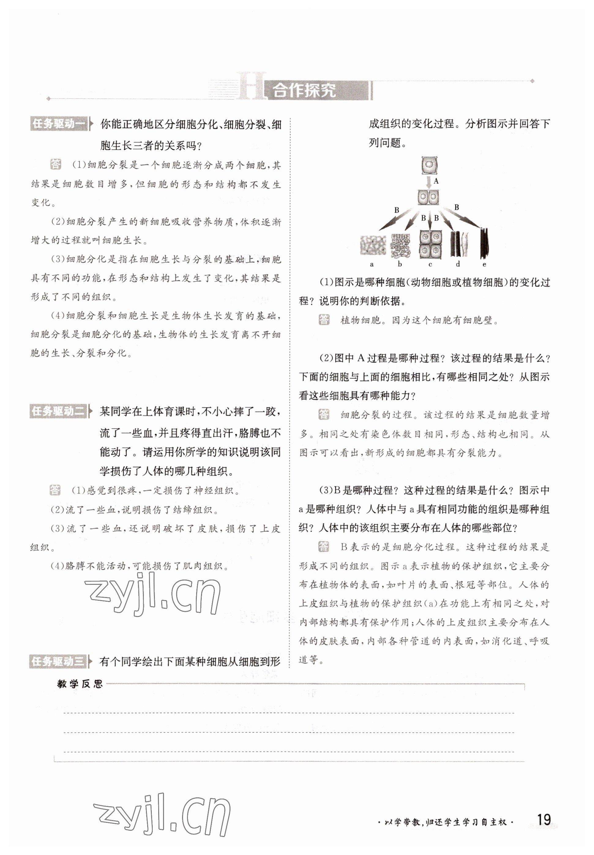 2022年三段六步導(dǎo)學(xué)案七年級(jí)生物上冊(cè)冀少版 參考答案第19頁