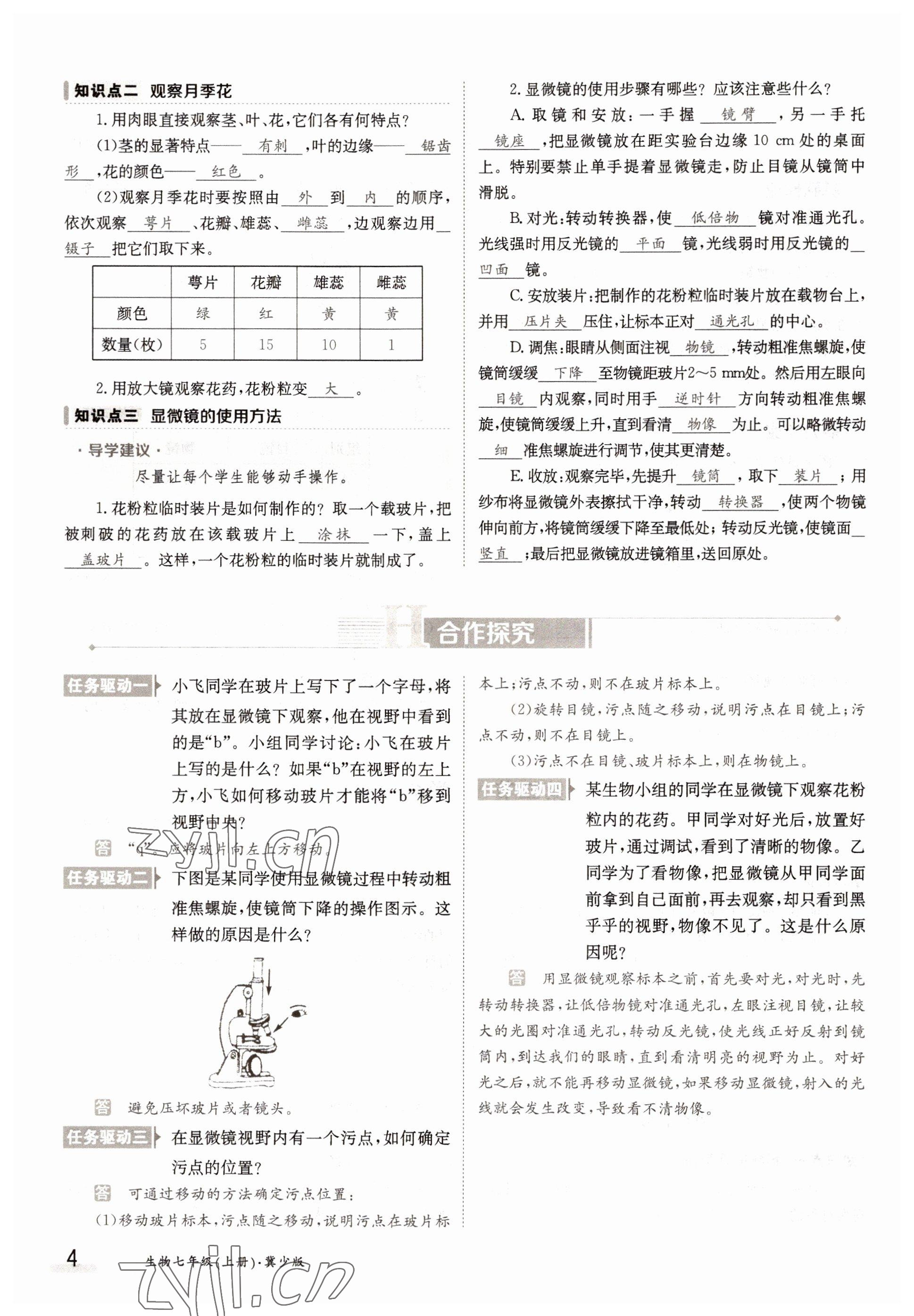 2022年三段六步導學案七年級生物上冊冀少版 參考答案第4頁