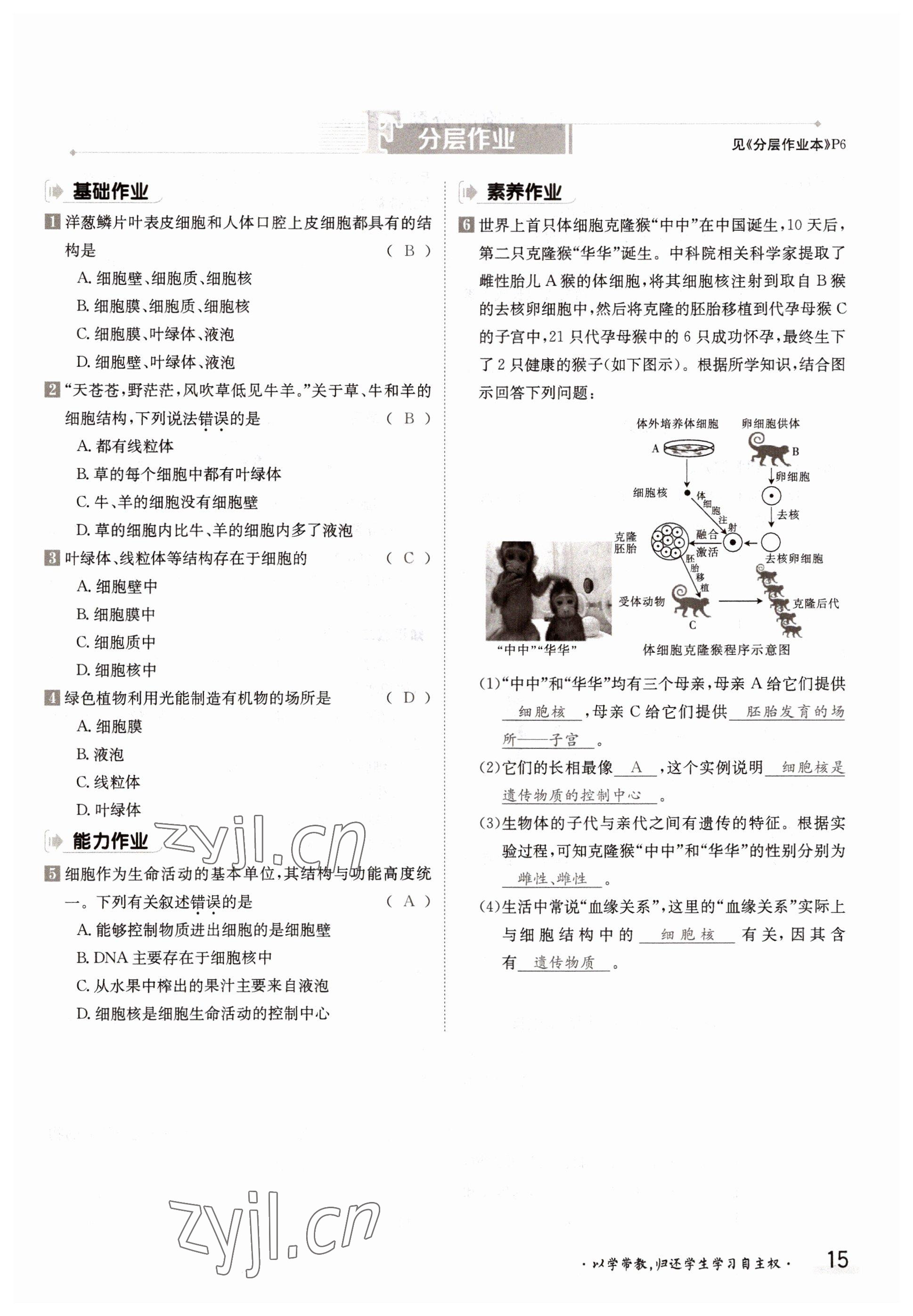 2022年三段六步導(dǎo)學(xué)案七年級(jí)生物上冊(cè)冀少版 參考答案第15頁(yè)