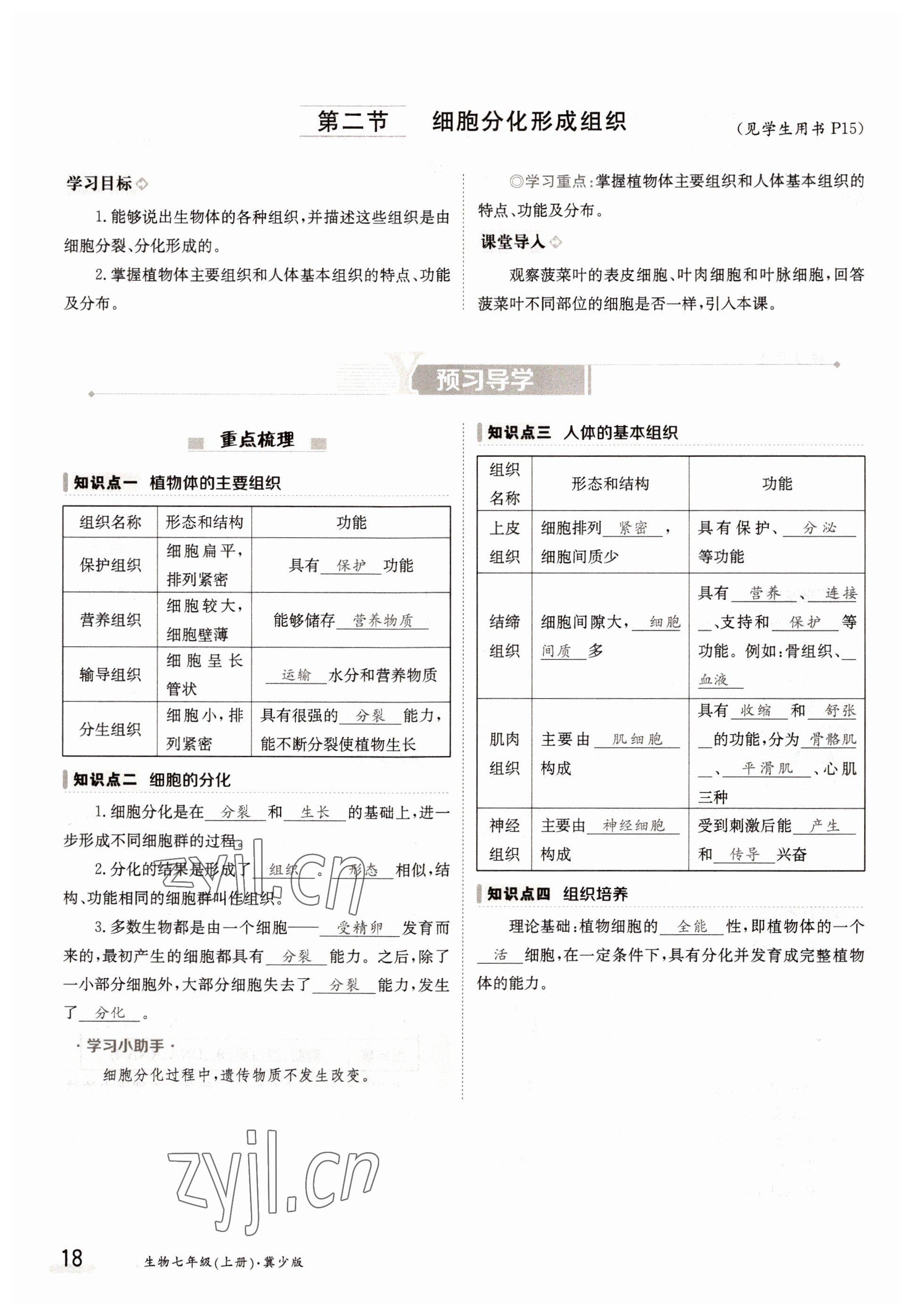 2022年三段六步導(dǎo)學(xué)案七年級生物上冊冀少版 參考答案第18頁