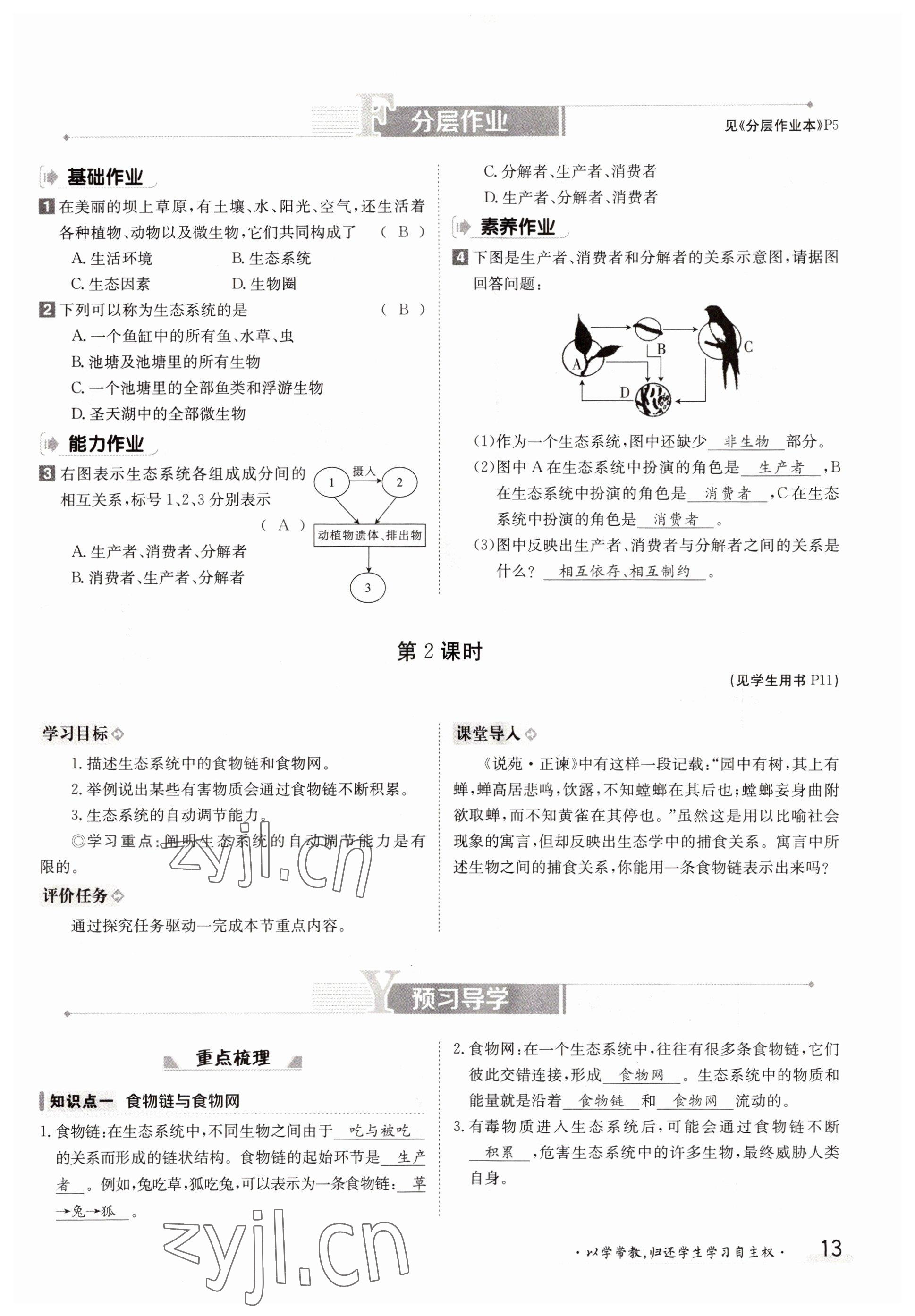 2022年三段六步導(dǎo)學(xué)案七年級生物上冊人教版 參考答案第13頁