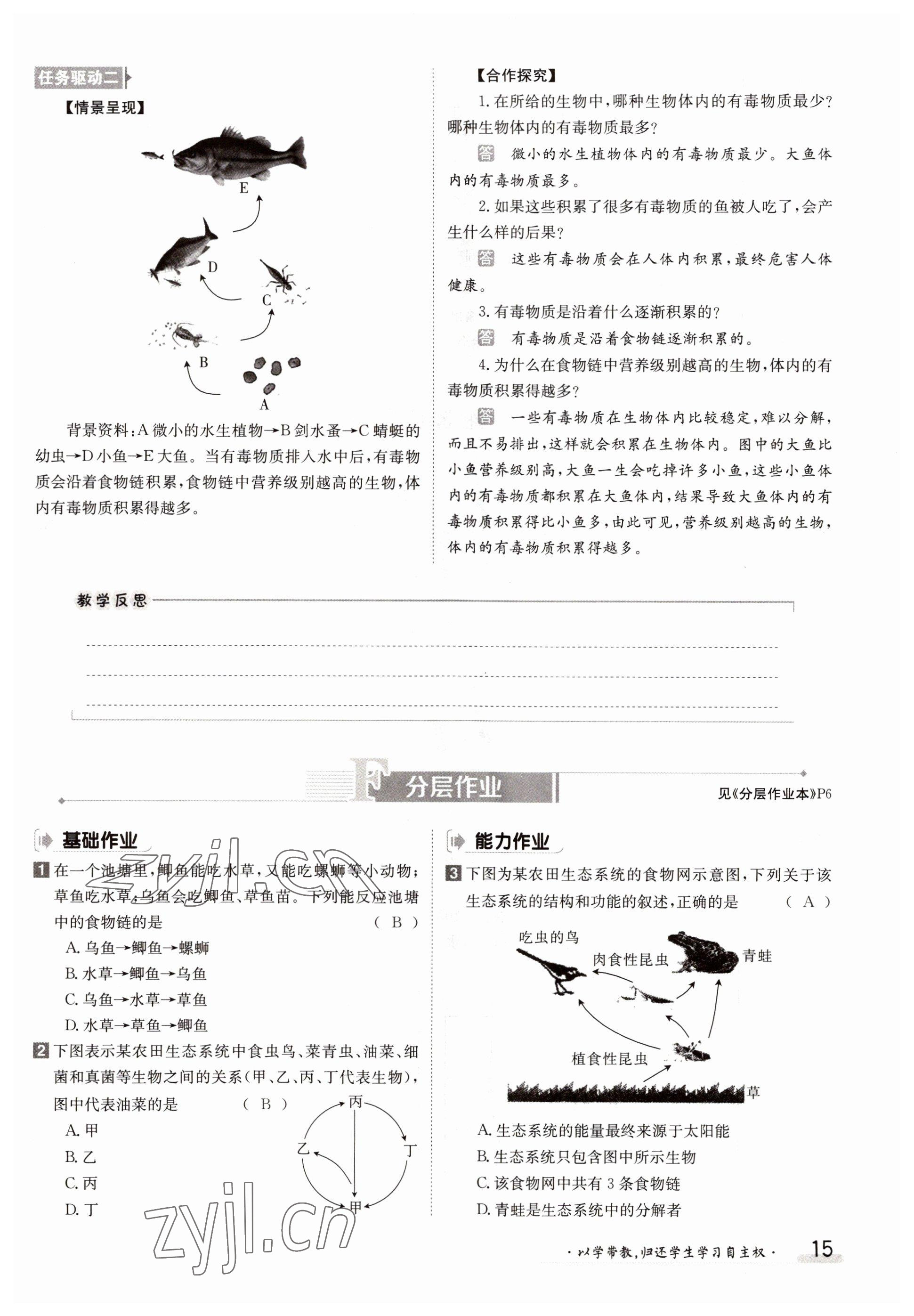 2022年三段六步導學案七年級生物上冊人教版 參考答案第15頁