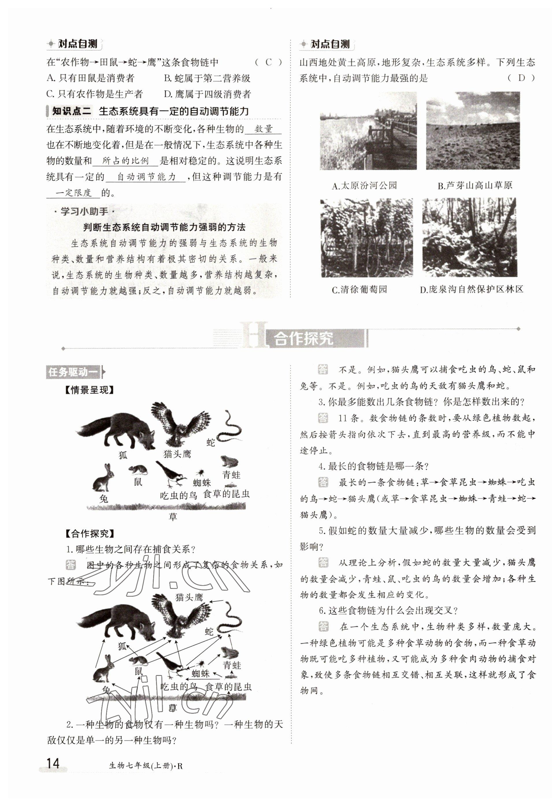 2022年三段六步導(dǎo)學(xué)案七年級生物上冊人教版 參考答案第14頁