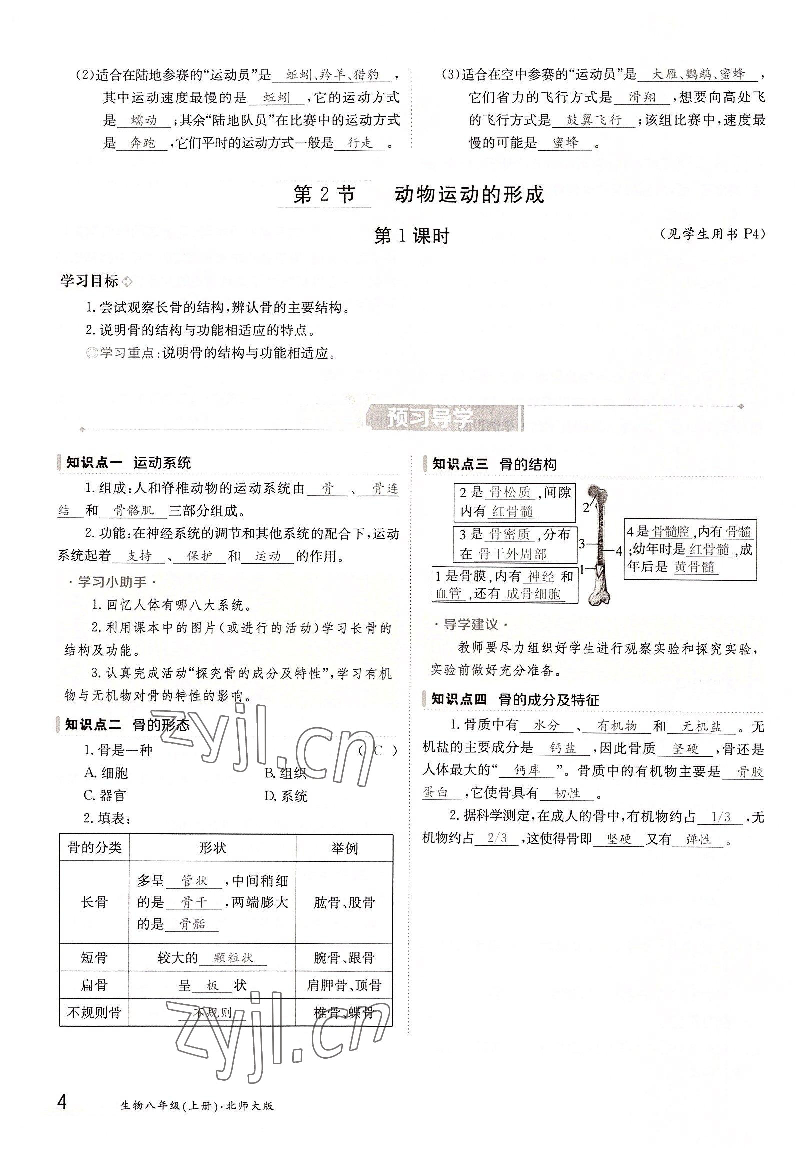 2022年三段六步導(dǎo)學(xué)案八年級生物上冊北師大版 參考答案第4頁