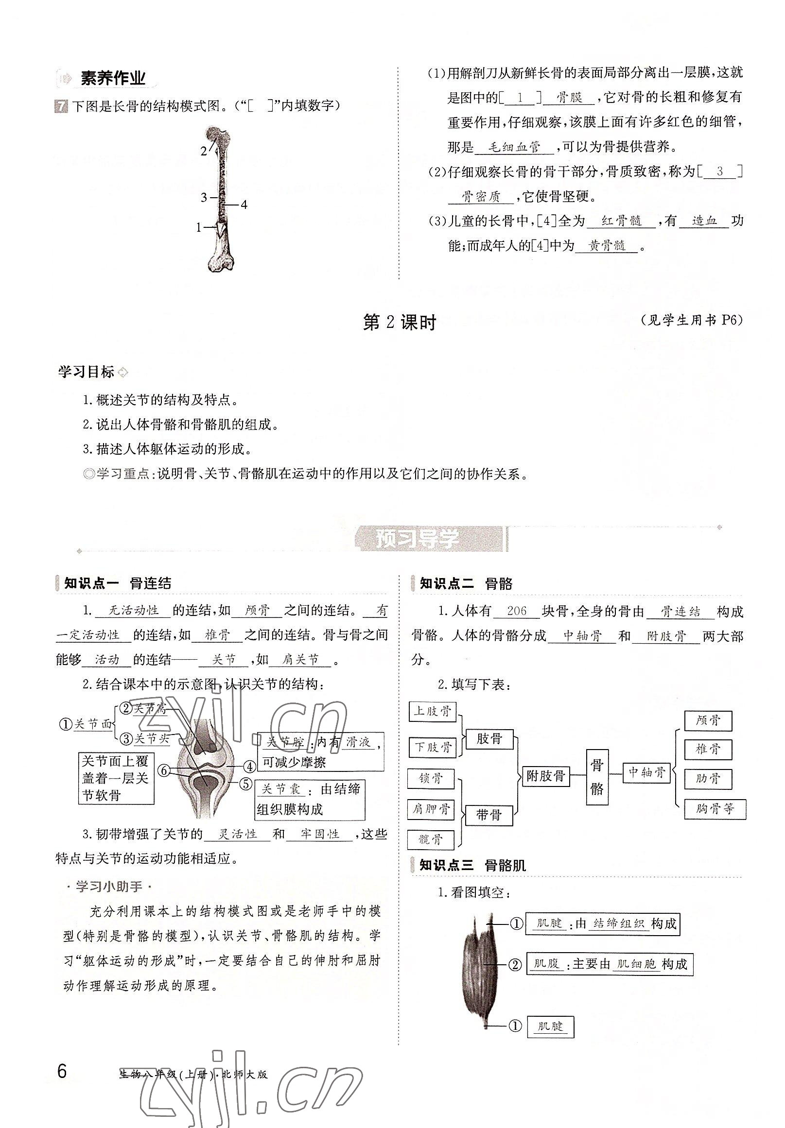 2022年三段六步導學案八年級生物上冊北師大版 參考答案第6頁