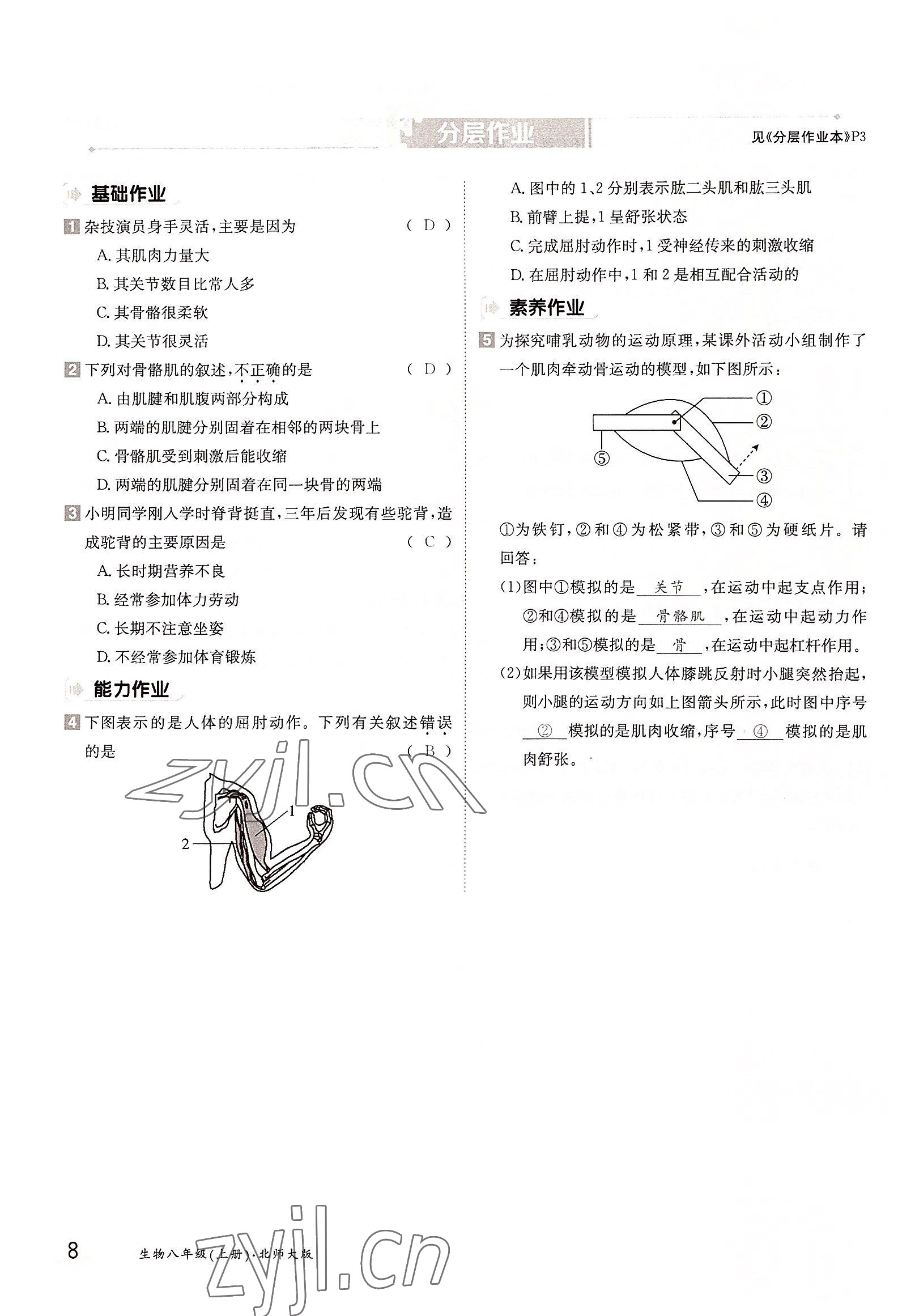 2022年三段六步導(dǎo)學(xué)案八年級生物上冊北師大版 參考答案第8頁