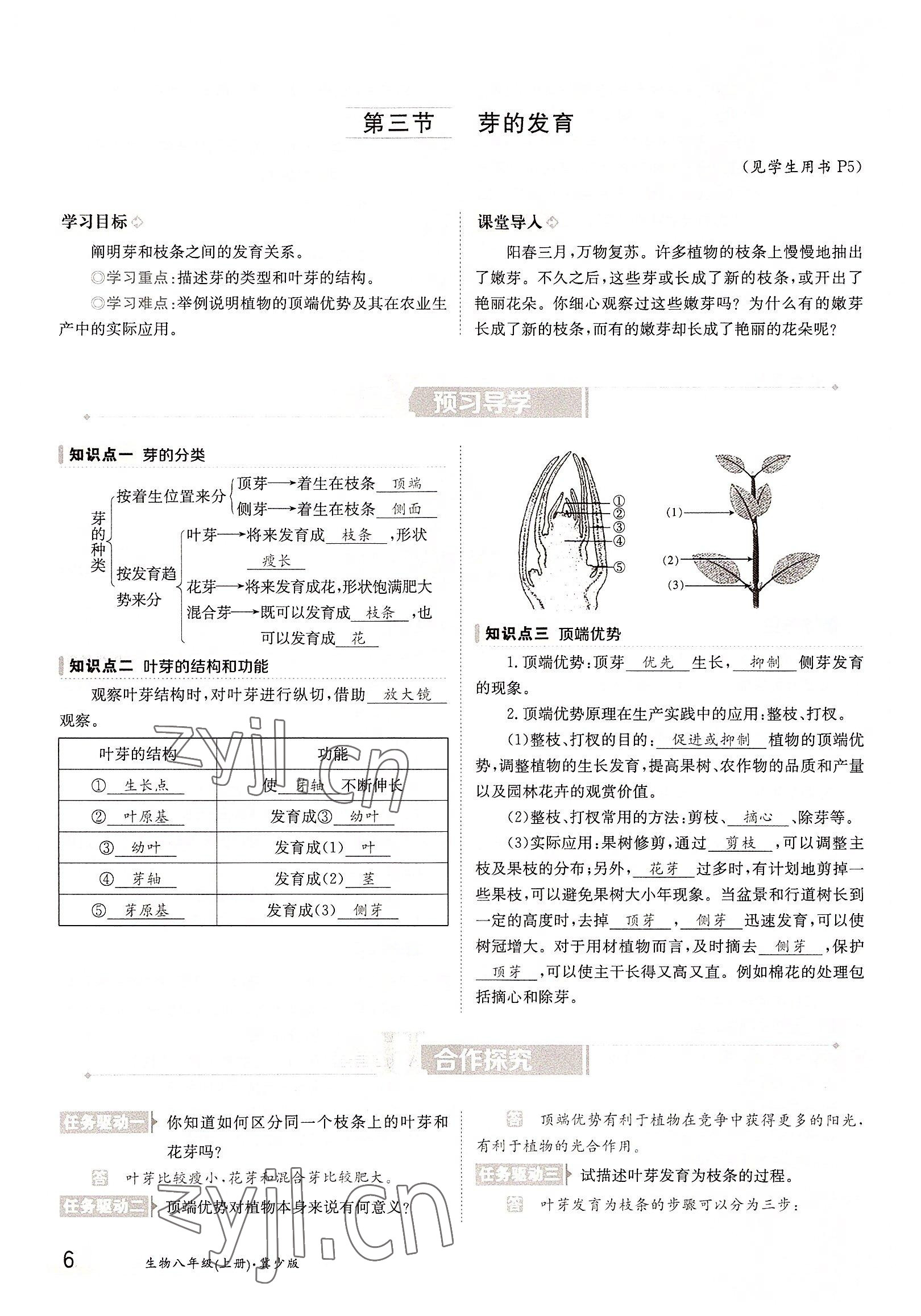 2022年三段六步導(dǎo)學(xué)案八年級(jí)生物上冊(cè)冀少版 參考答案第6頁(yè)