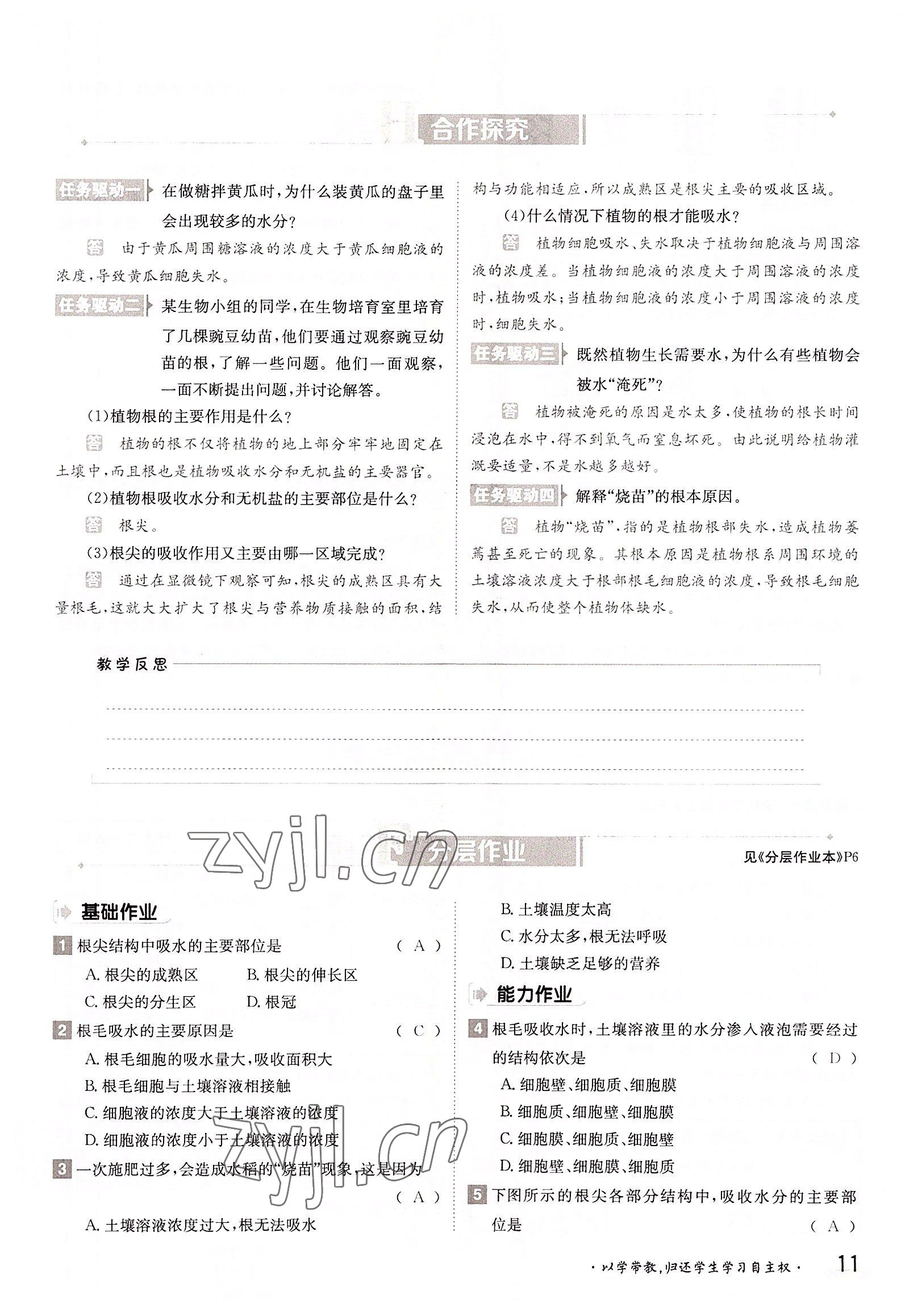 2022年三段六步導學案八年級生物上冊冀少版 參考答案第11頁