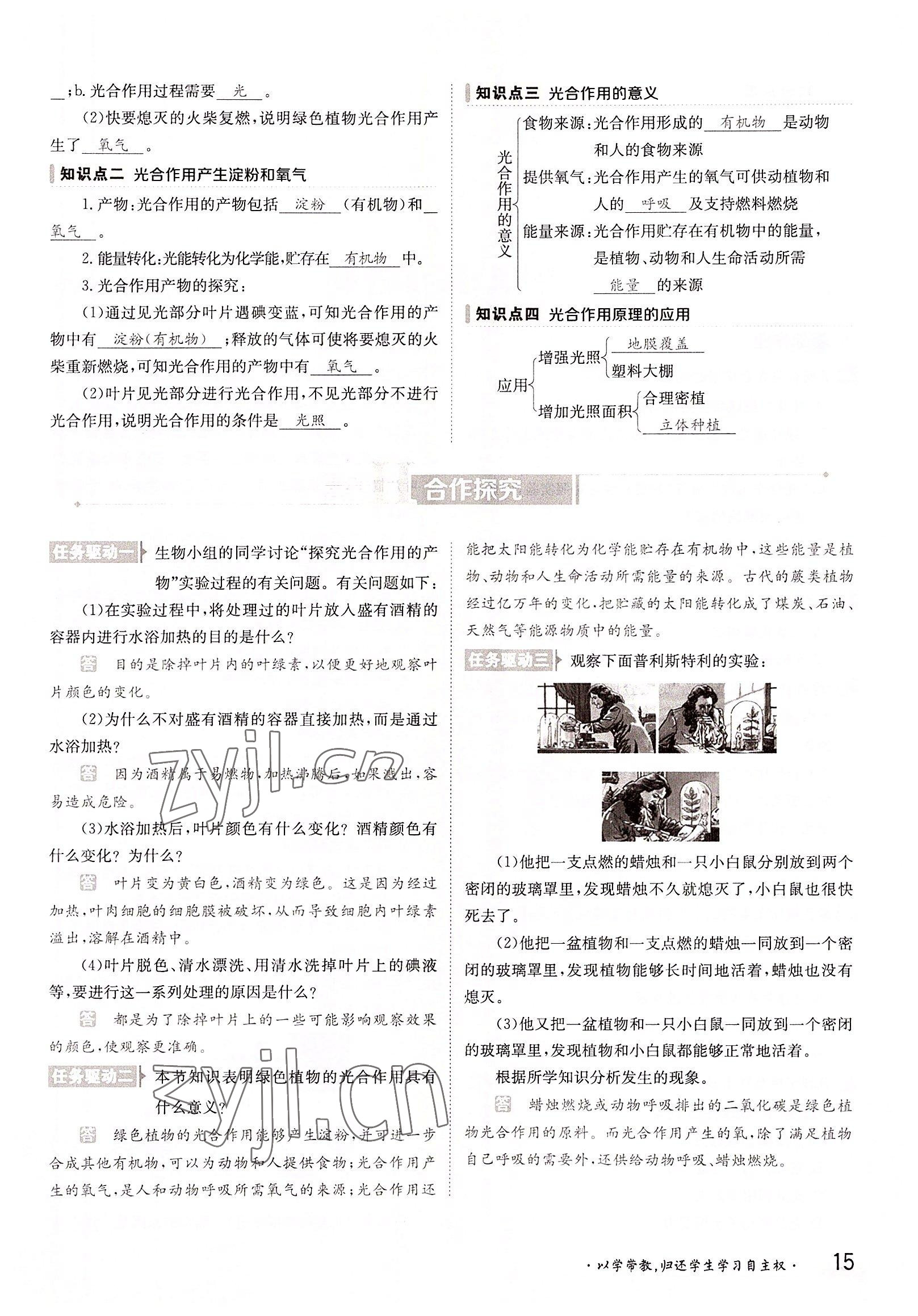 2022年三段六步導(dǎo)學(xué)案八年級生物上冊冀少版 參考答案第15頁