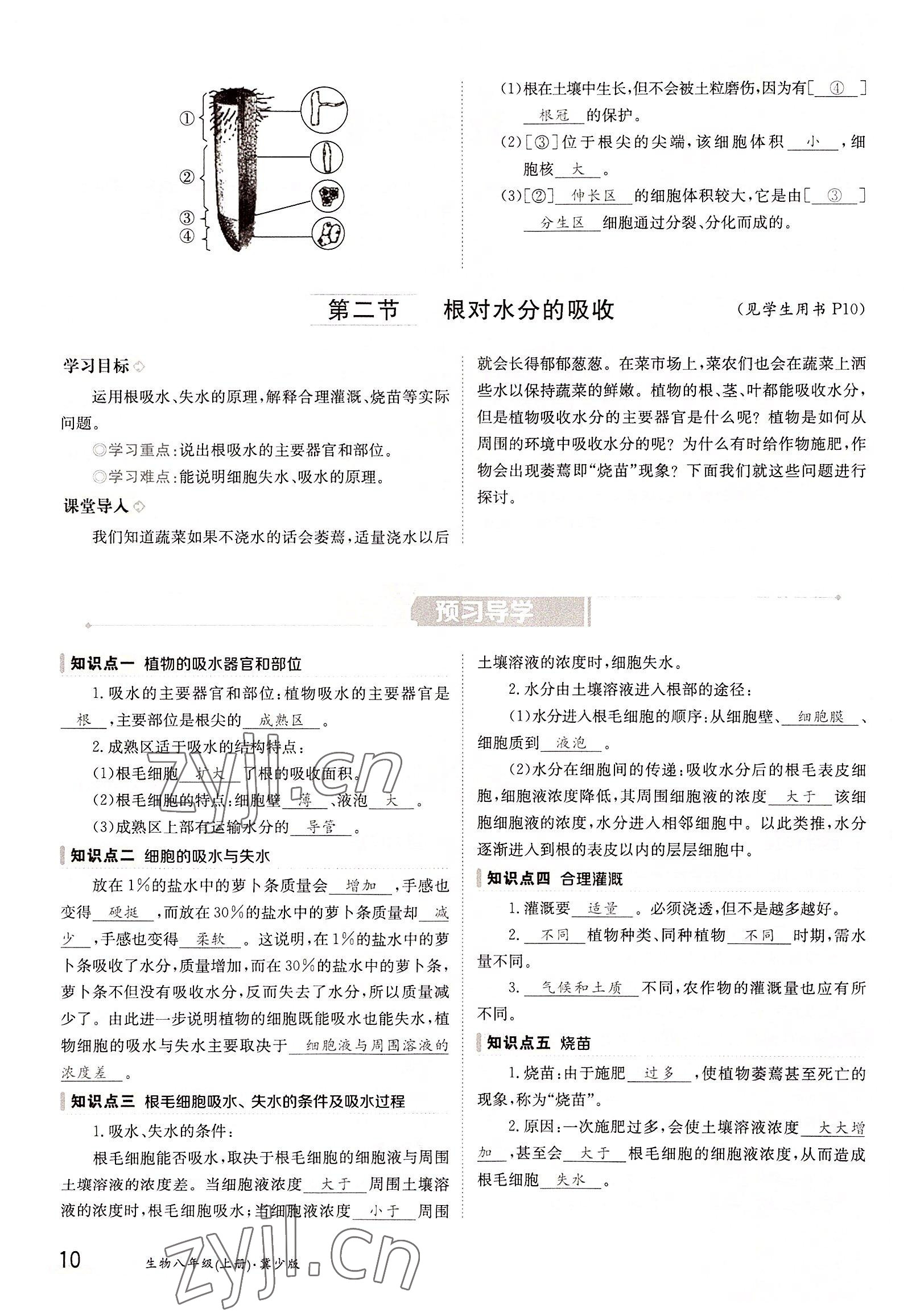 2022年三段六步导学案八年级生物上册冀少版 参考答案第10页