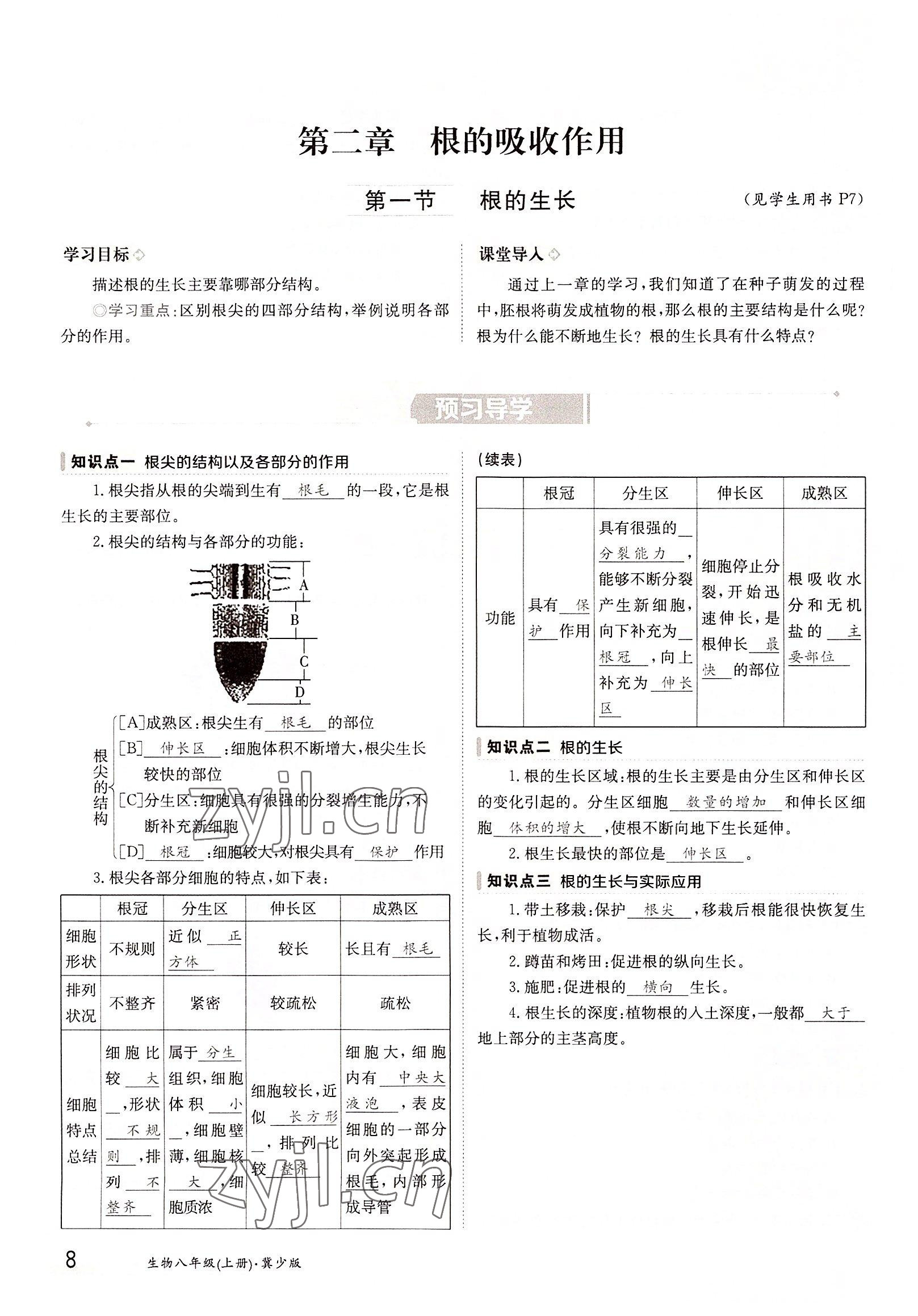 2022年三段六步导学案八年级生物上册冀少版 参考答案第8页