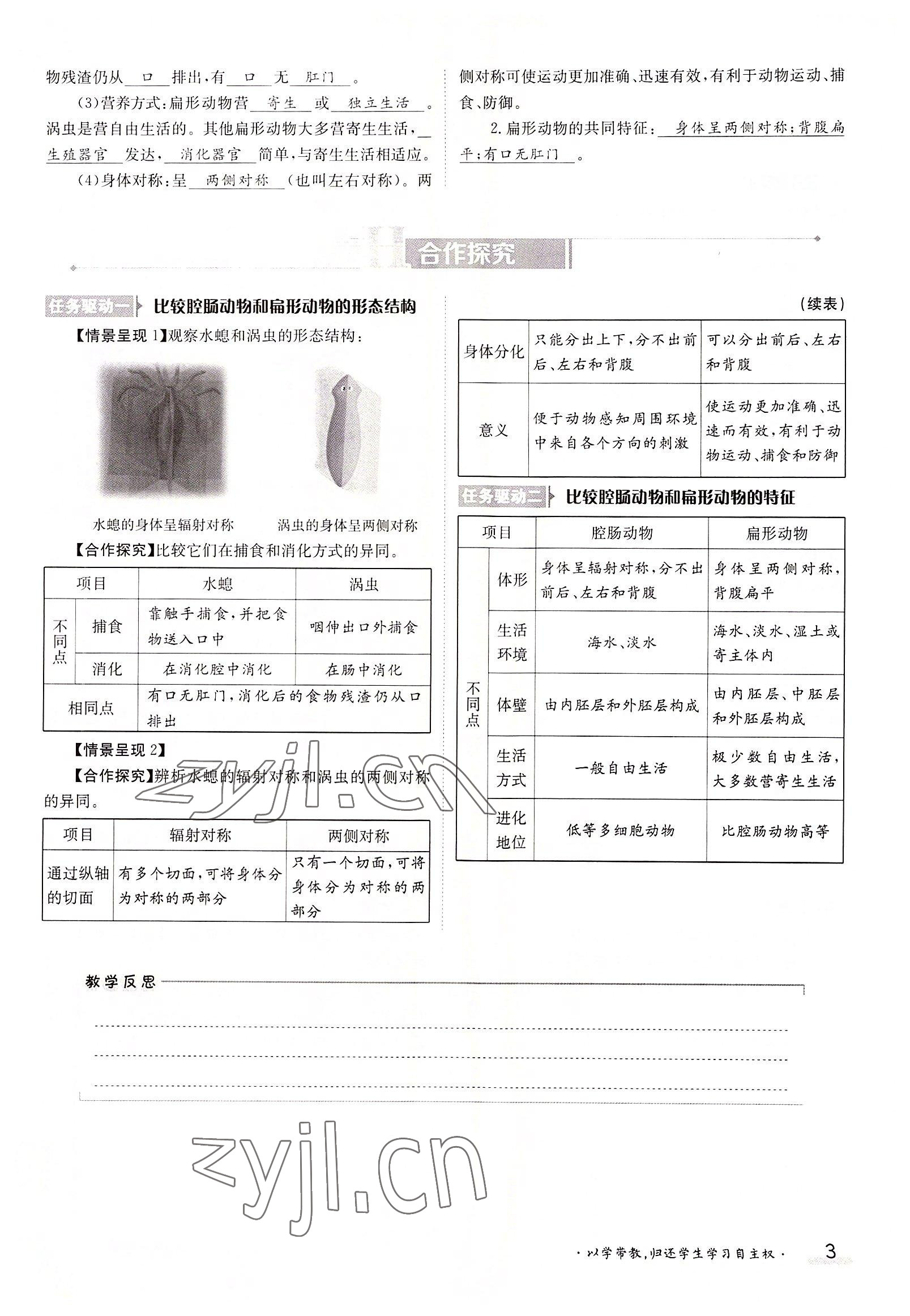 2022年三段六步导学案八年级生物上册人教版 参考答案第3页