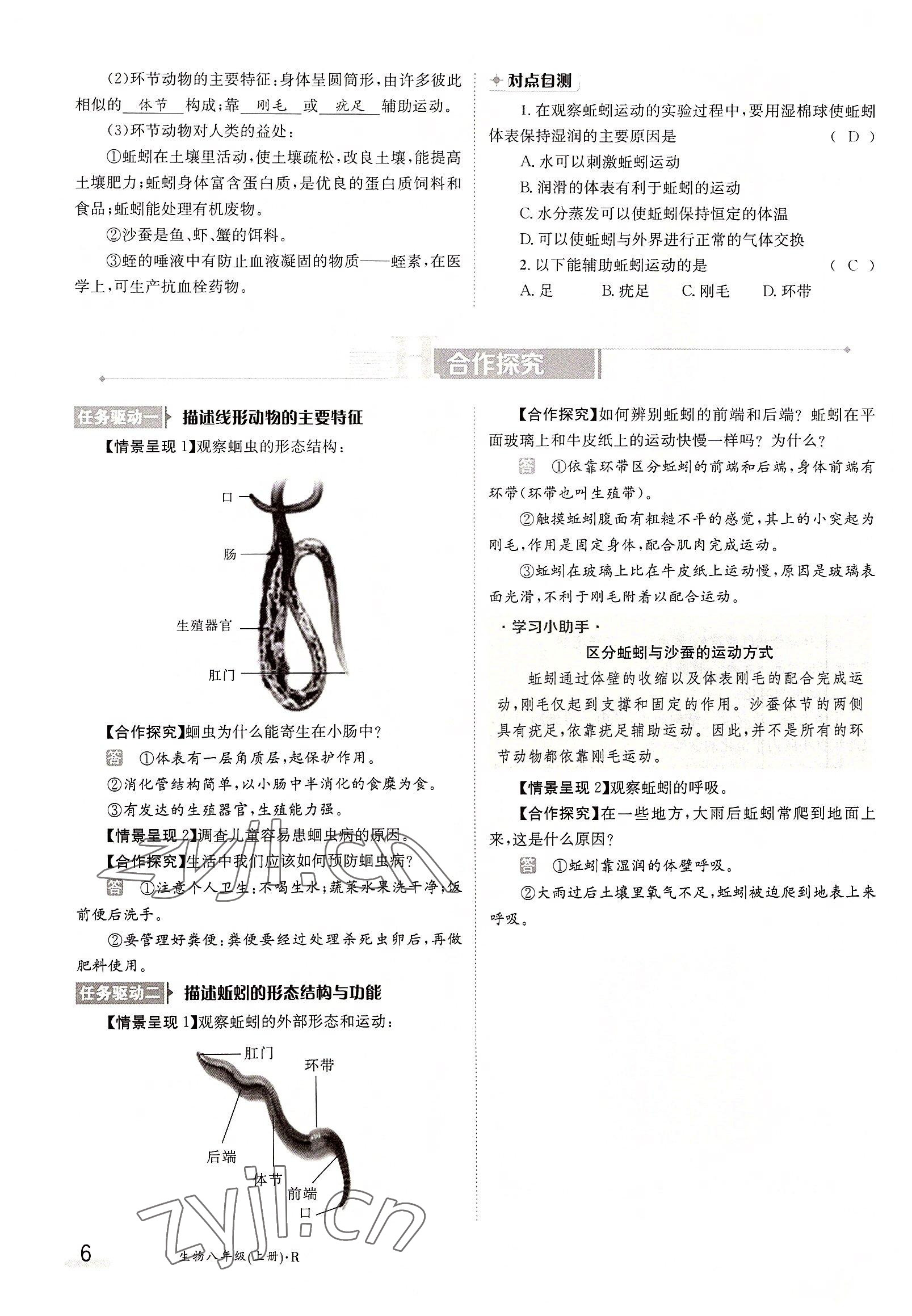 2022年三段六步导学案八年级生物上册人教版 参考答案第6页