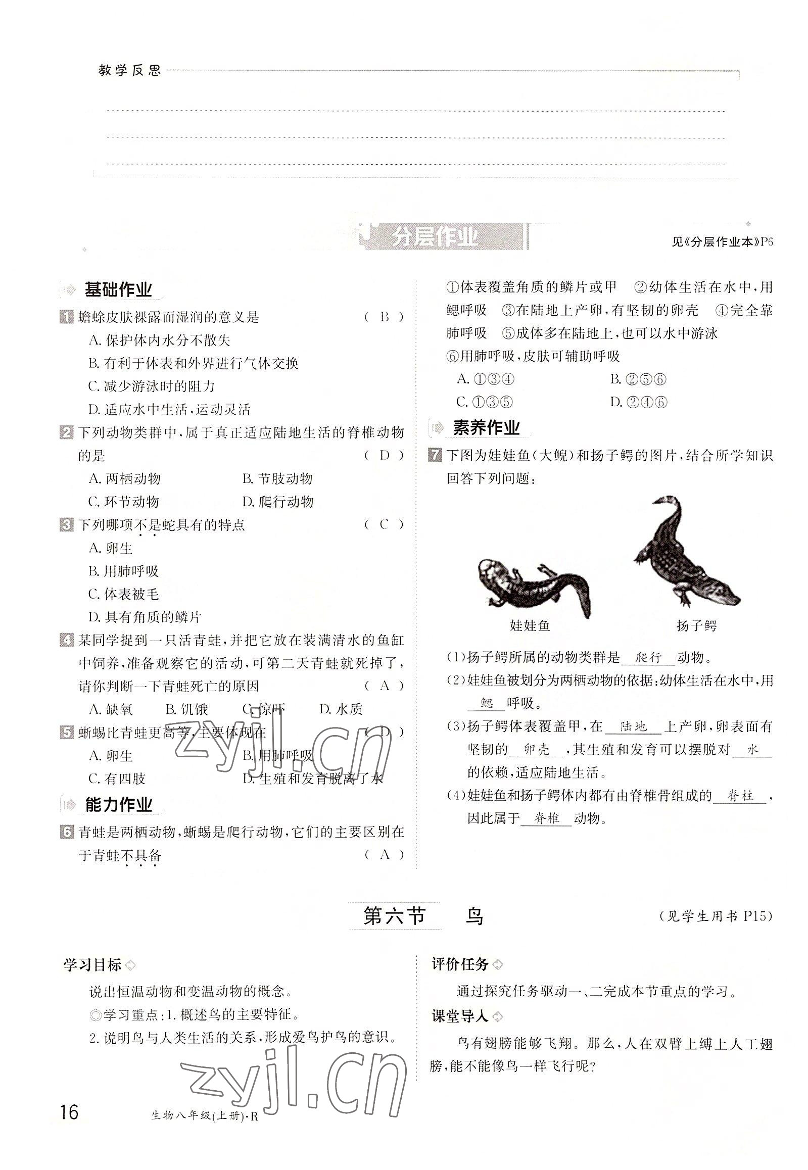 2022年三段六步導(dǎo)學(xué)案八年級生物上冊人教版 參考答案第16頁