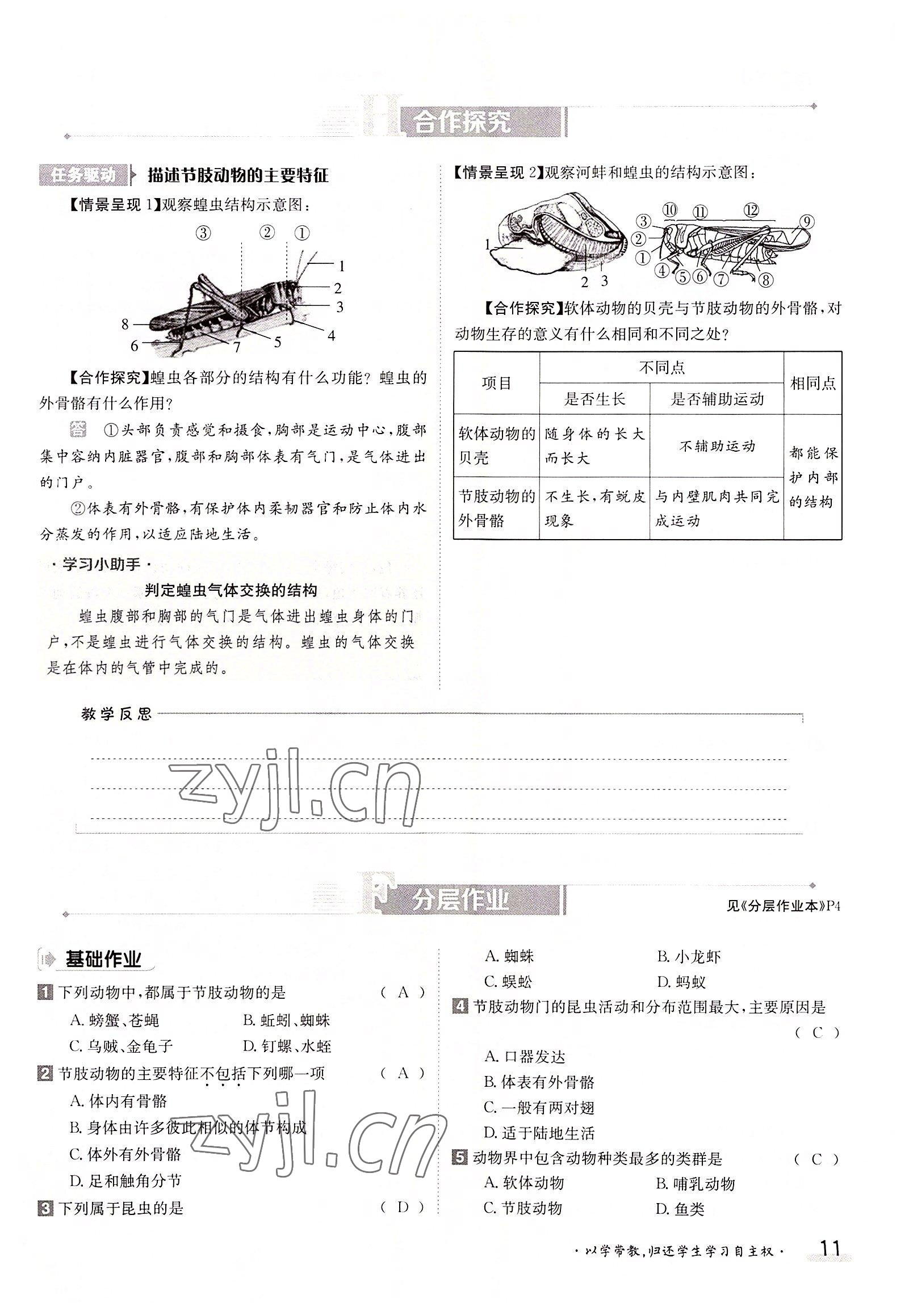 2022年三段六步导学案八年级生物上册人教版 参考答案第11页