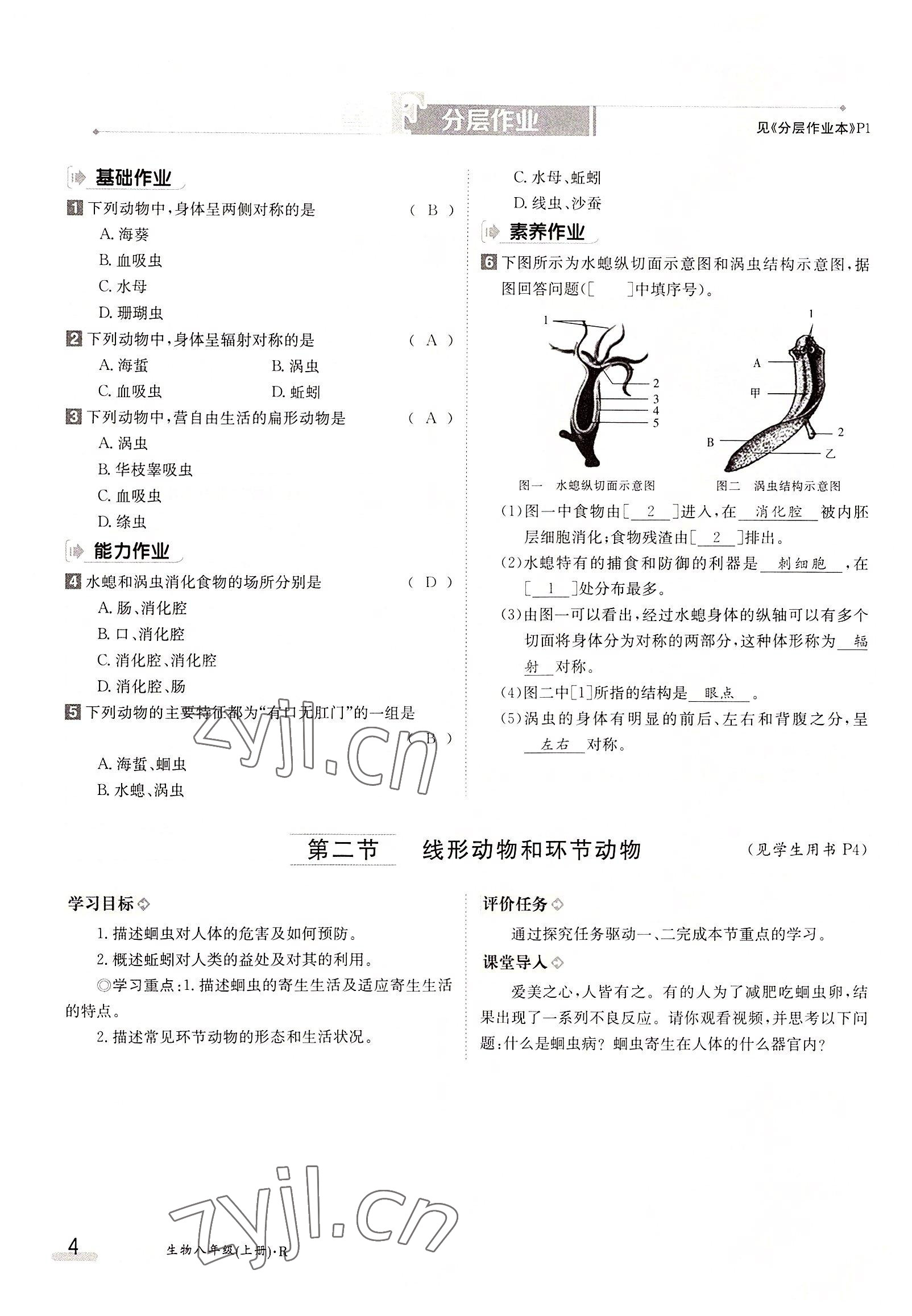 2022年三段六步导学案八年级生物上册人教版 参考答案第4页