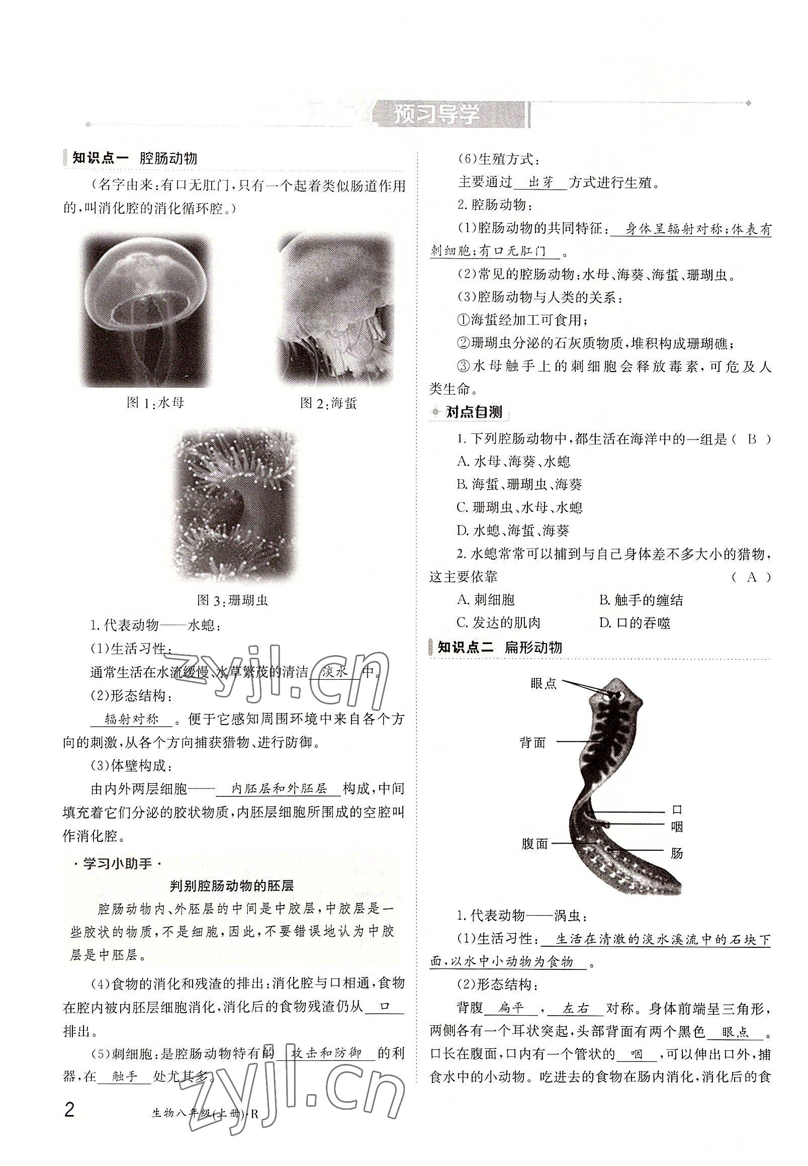 2022年三段六步导学案八年级生物上册人教版 参考答案第2页