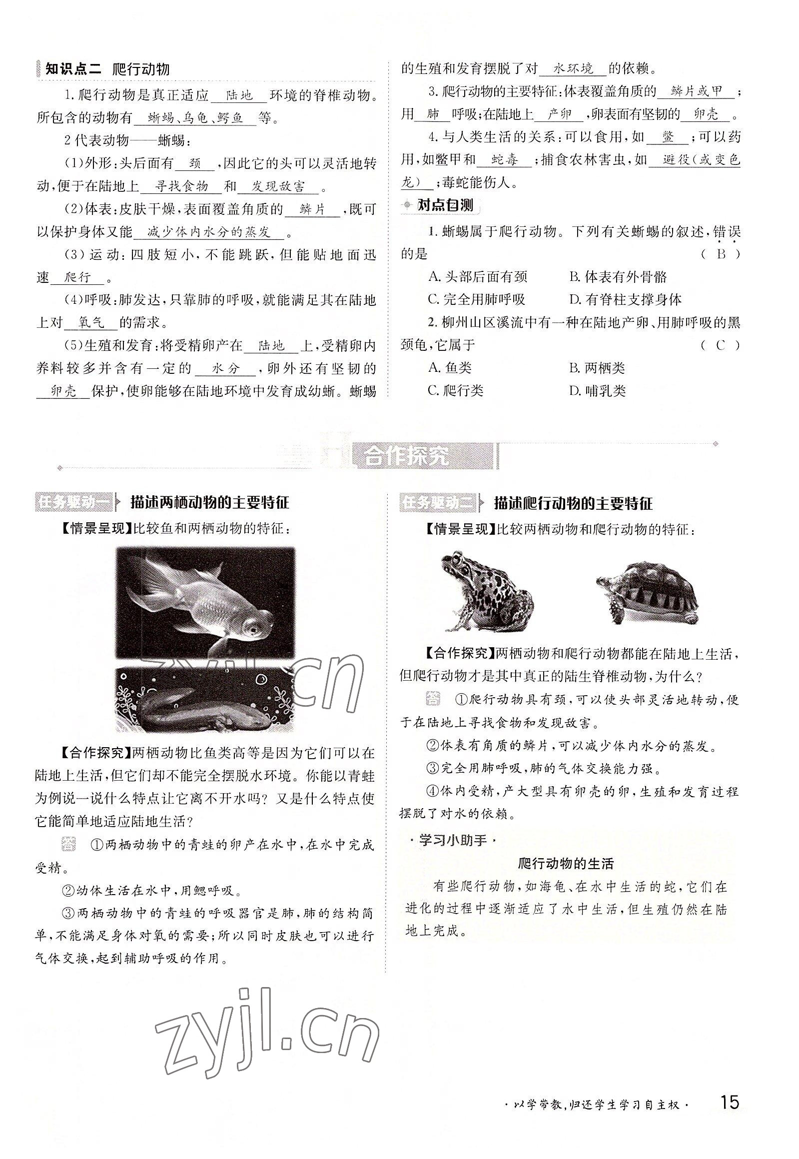 2022年三段六步導(dǎo)學(xué)案八年級生物上冊人教版 參考答案第15頁