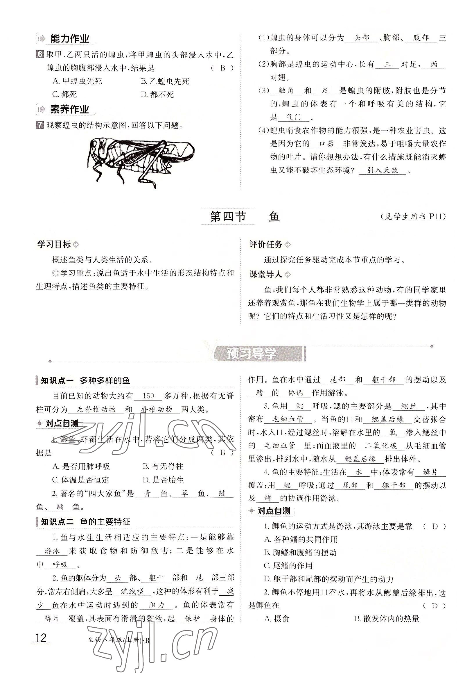 2022年三段六步導(dǎo)學(xué)案八年級生物上冊人教版 參考答案第12頁