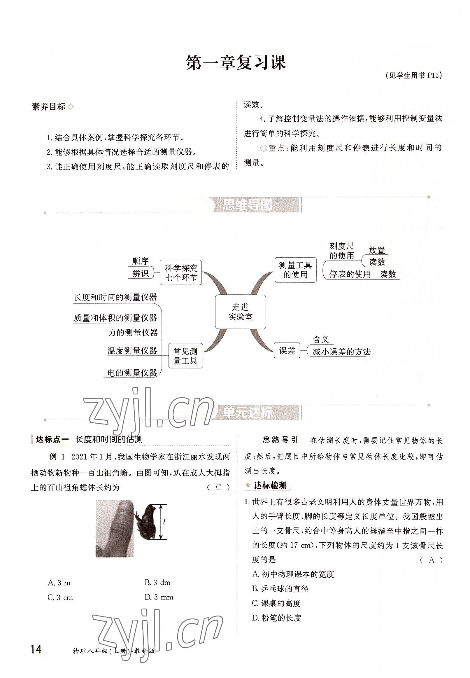 2022年三段六步导学案八年级物理上册教科版 参考答案第14页