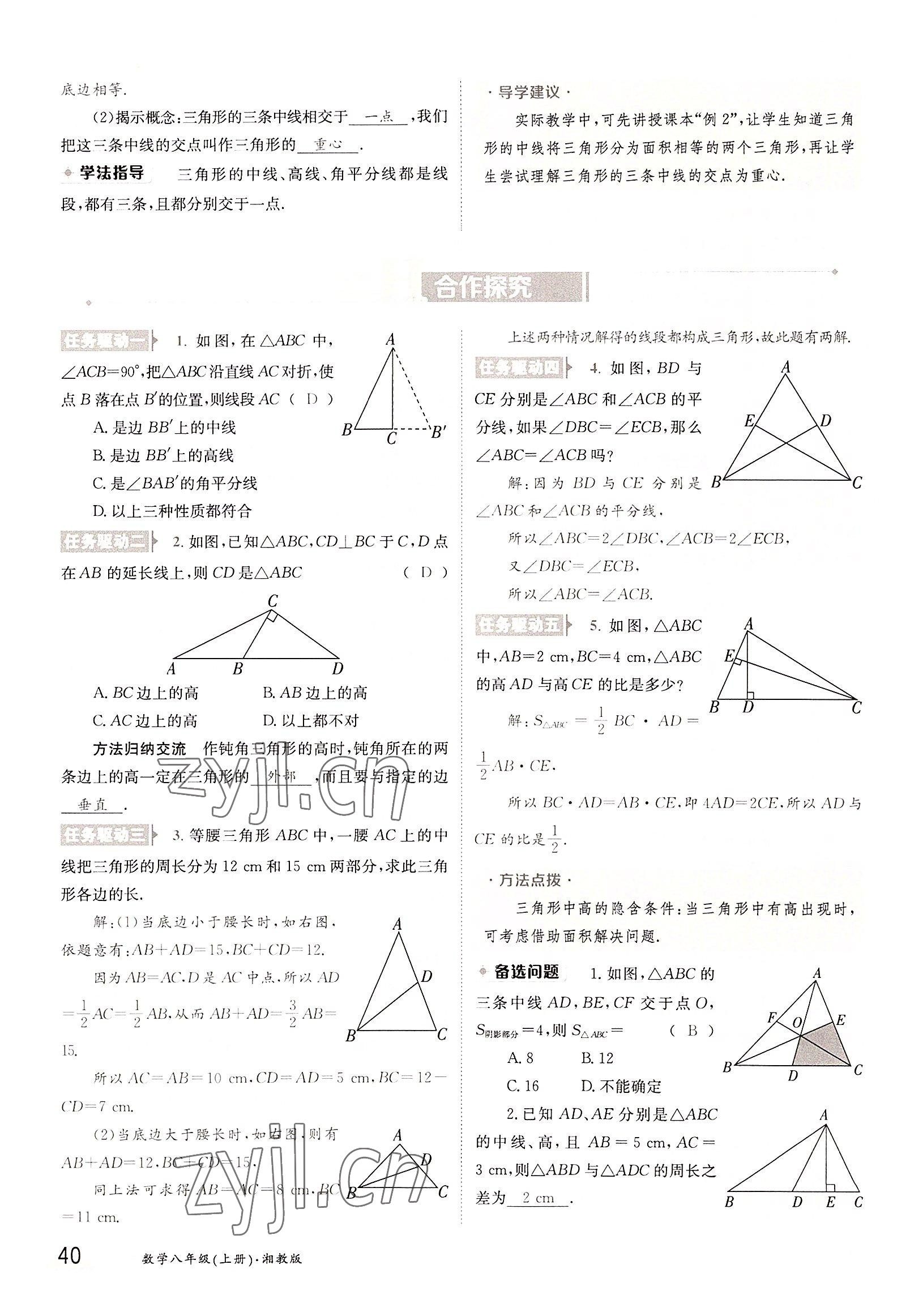 2022年三段六步導學案八年級數學上冊湘教版 參考答案第40頁