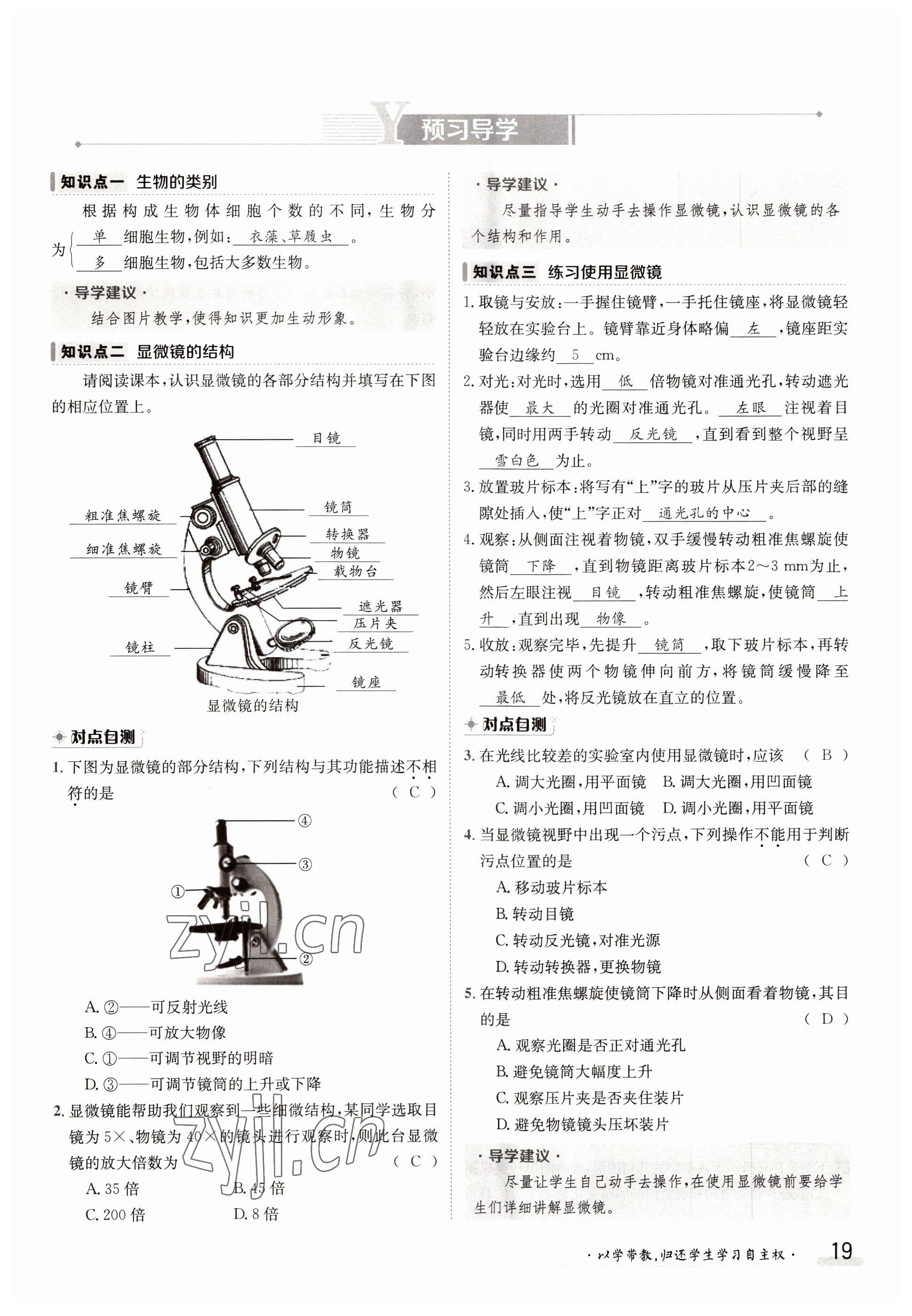 2022年金太陽分層作業本七年級生物上冊北師大版 參考答案第19頁