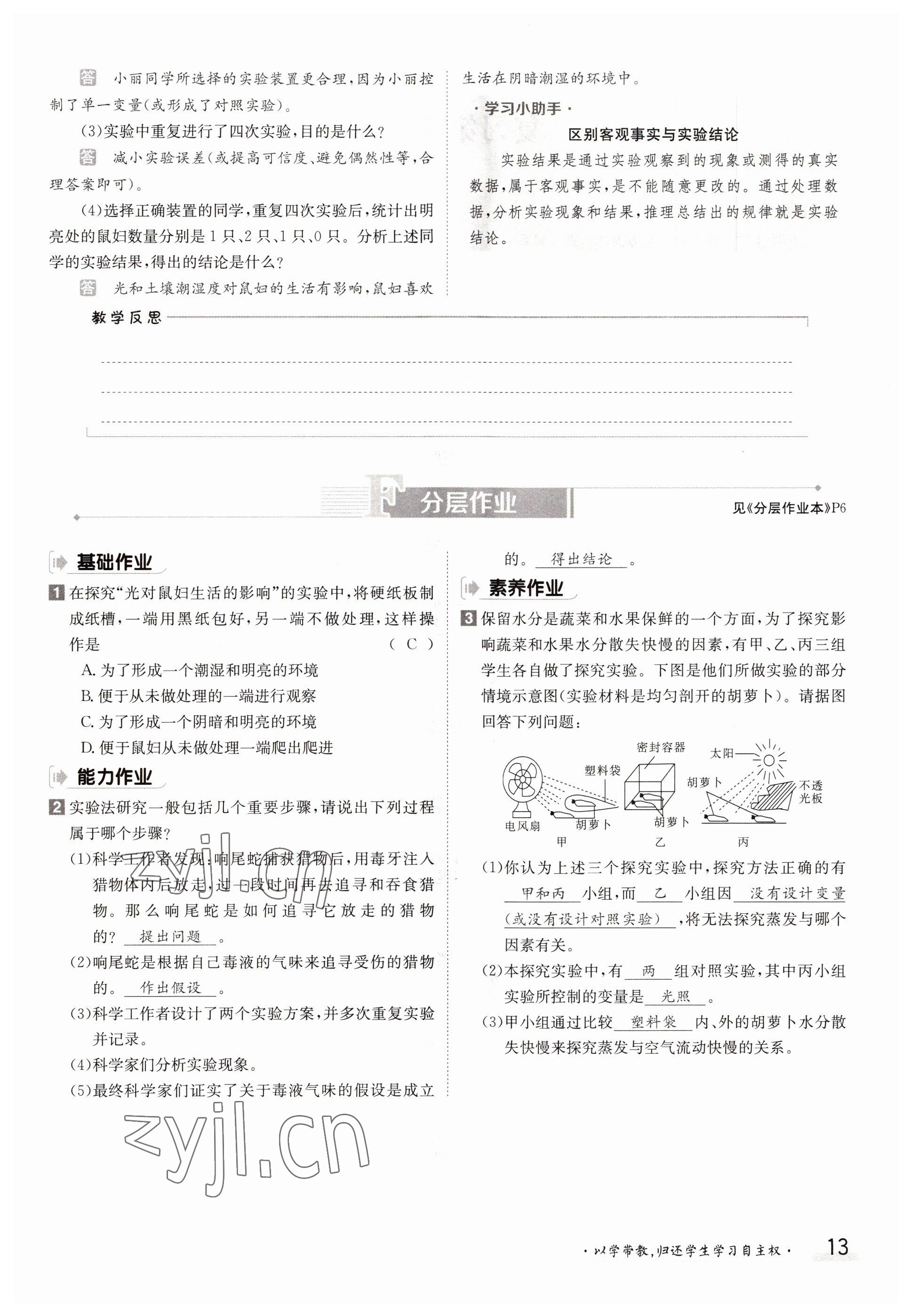 2022年金太陽分層作業本七年級生物上冊北師大版 參考答案第13頁