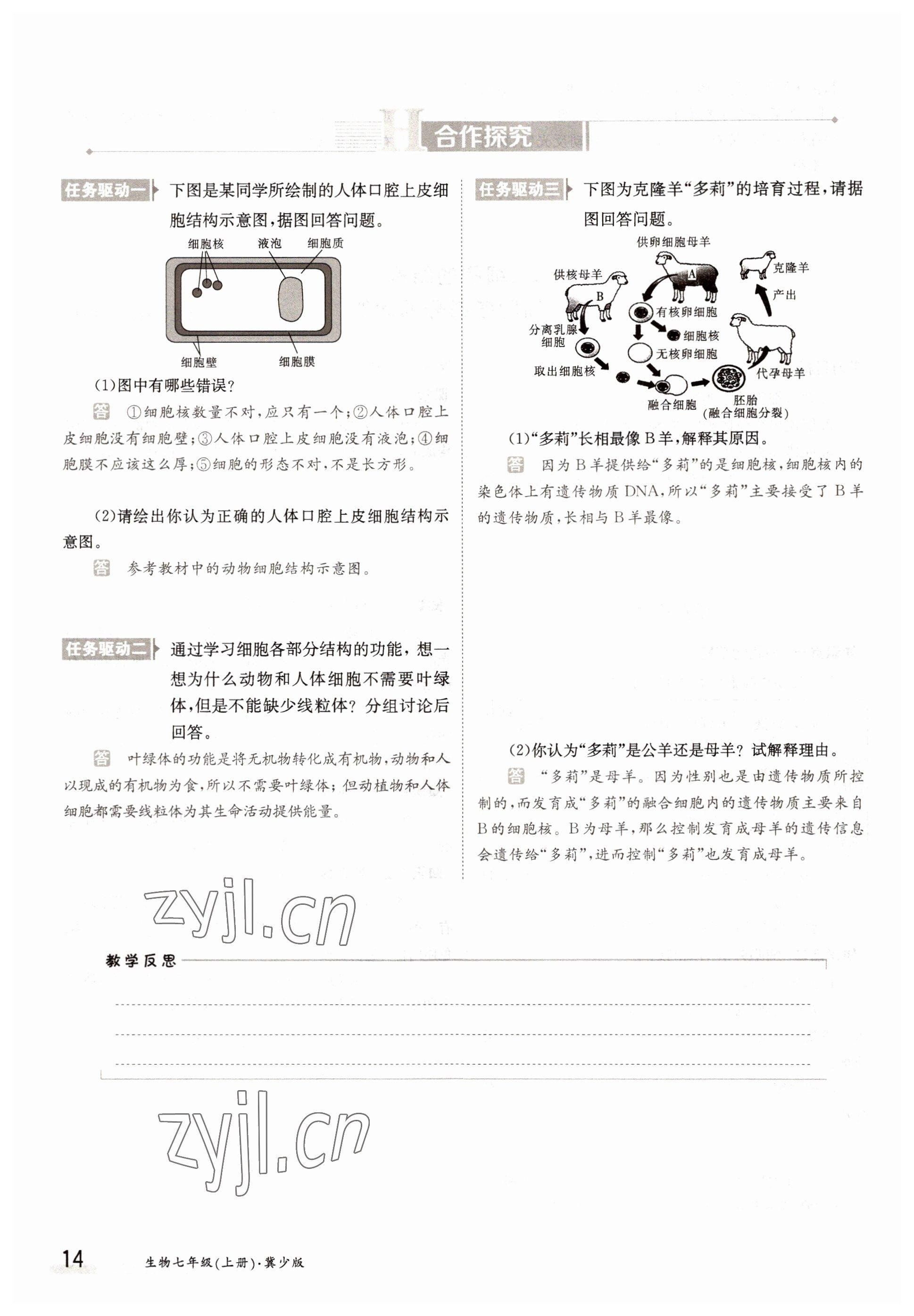 2022年金太陽分層作業本七年級生物上冊冀少版 參考答案第14頁