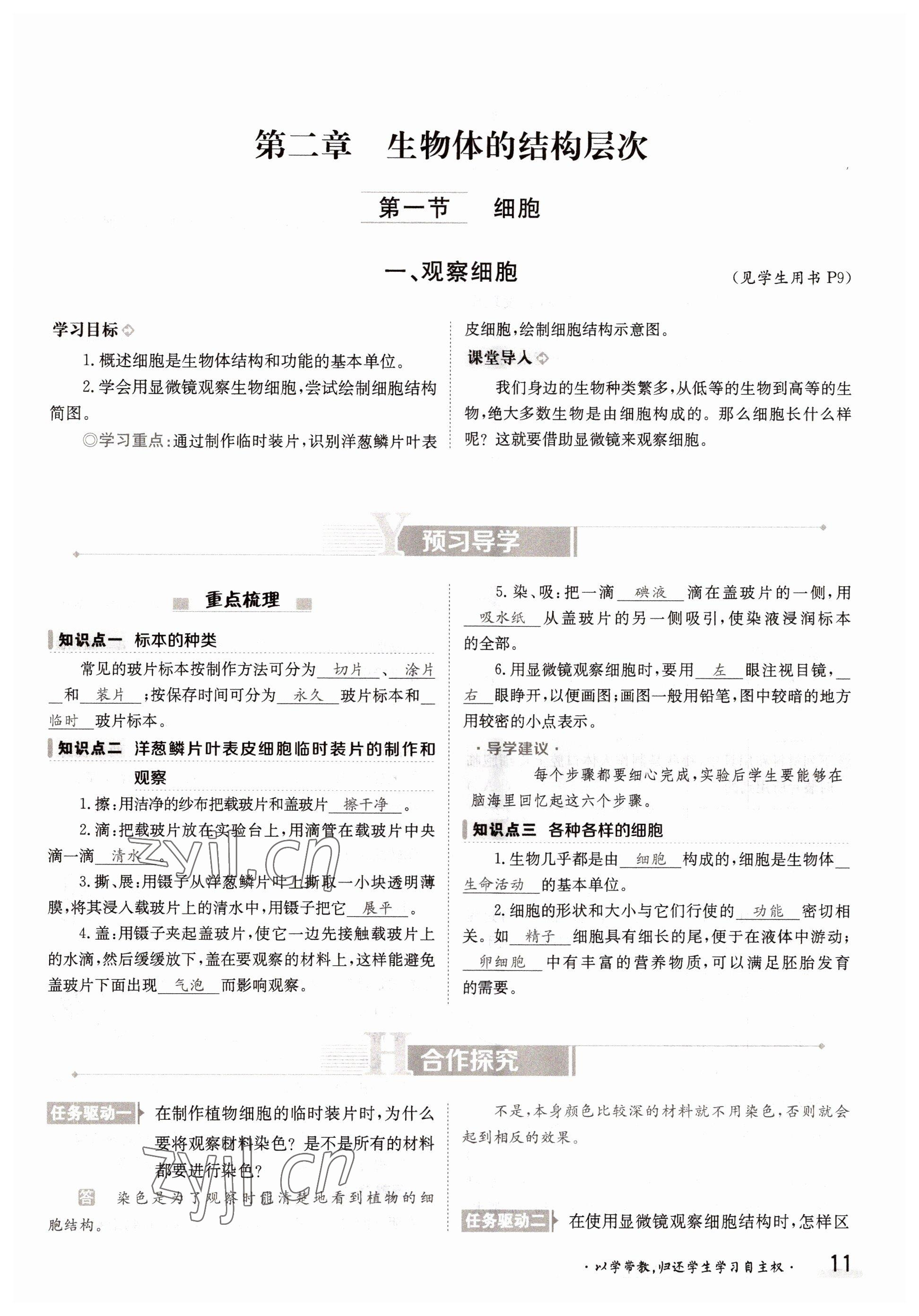 2022年金太陽分層作業本七年級生物上冊冀少版 參考答案第11頁