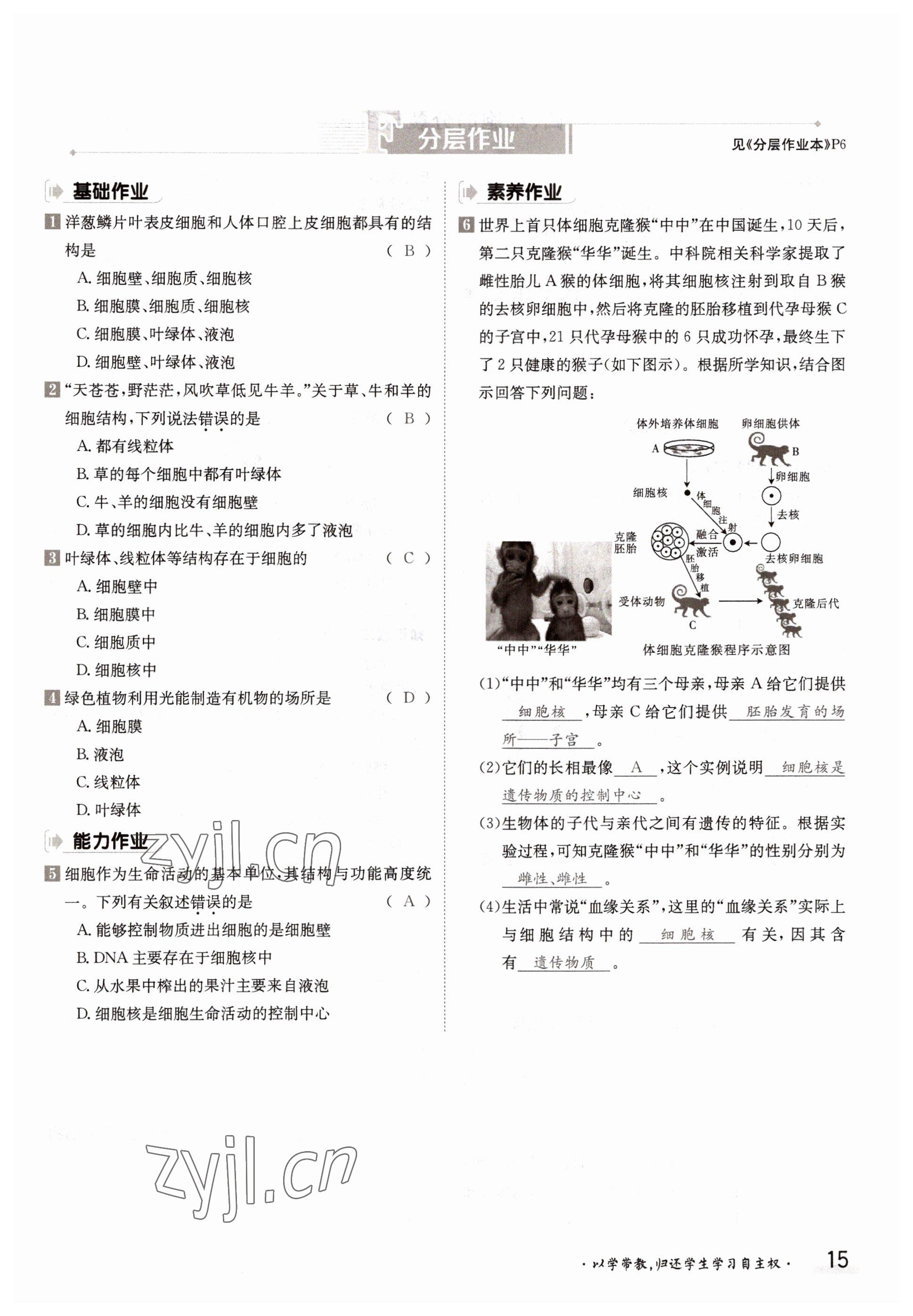2022年金太陽分層作業本七年級生物上冊冀少版 參考答案第15頁
