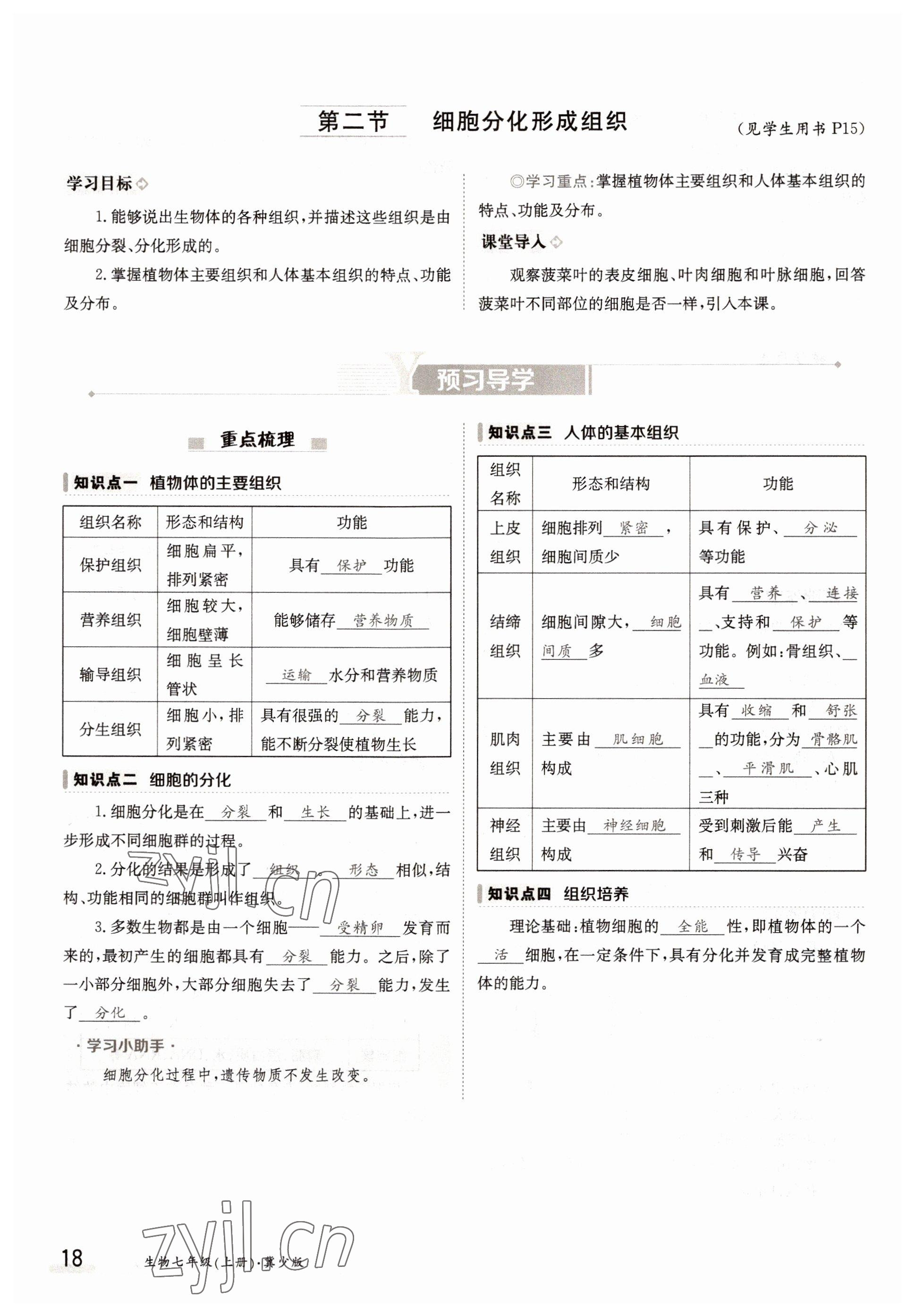 2022年金太陽分層作業本七年級生物上冊冀少版 參考答案第18頁