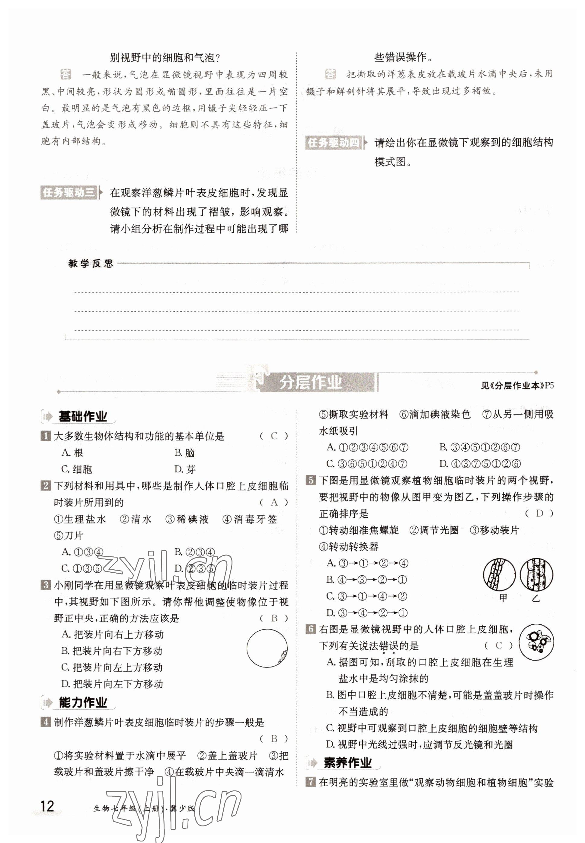 2022年金太陽分層作業本七年級生物上冊冀少版 參考答案第12頁
