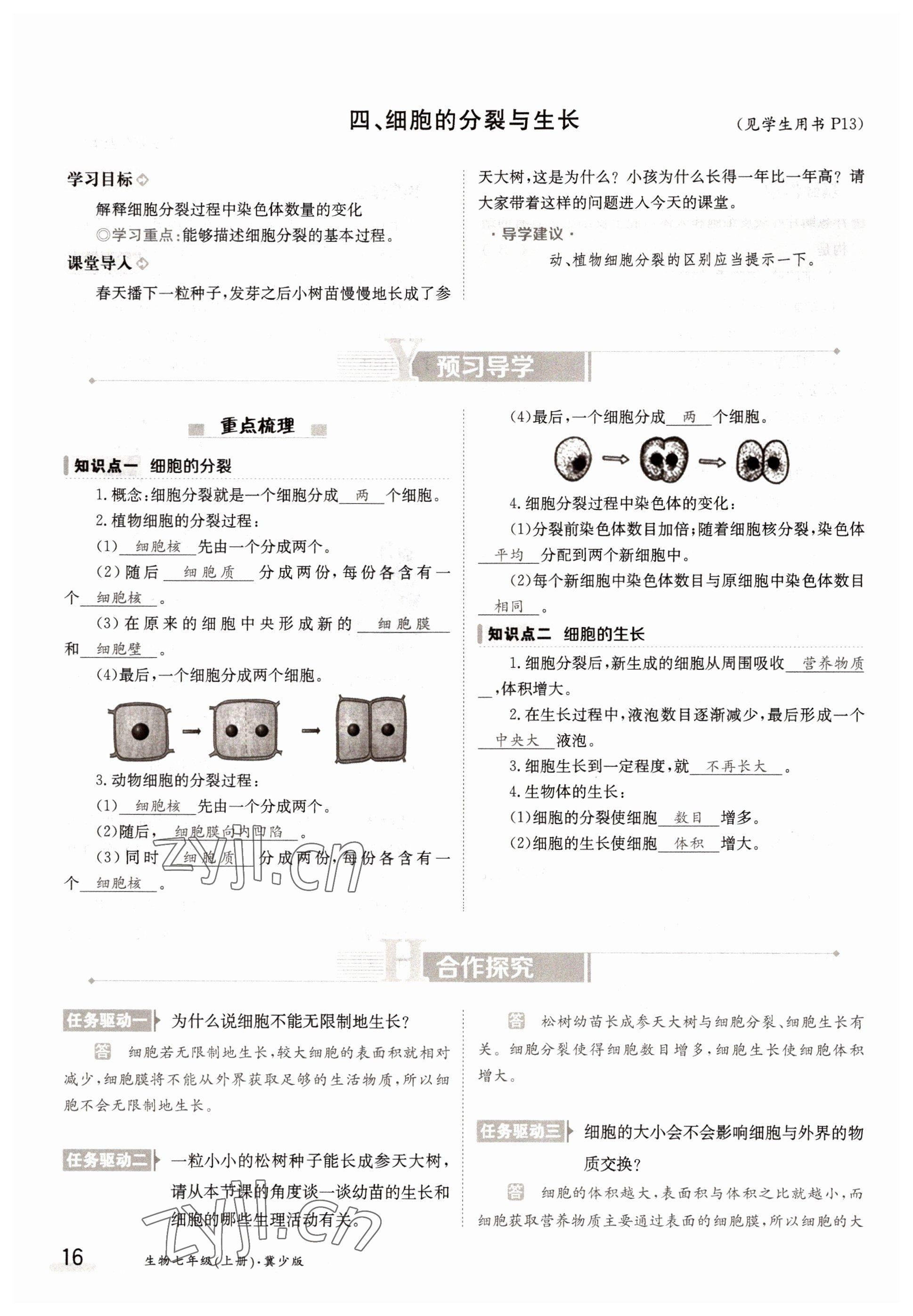 2022年金太陽分層作業本七年級生物上冊冀少版 參考答案第16頁