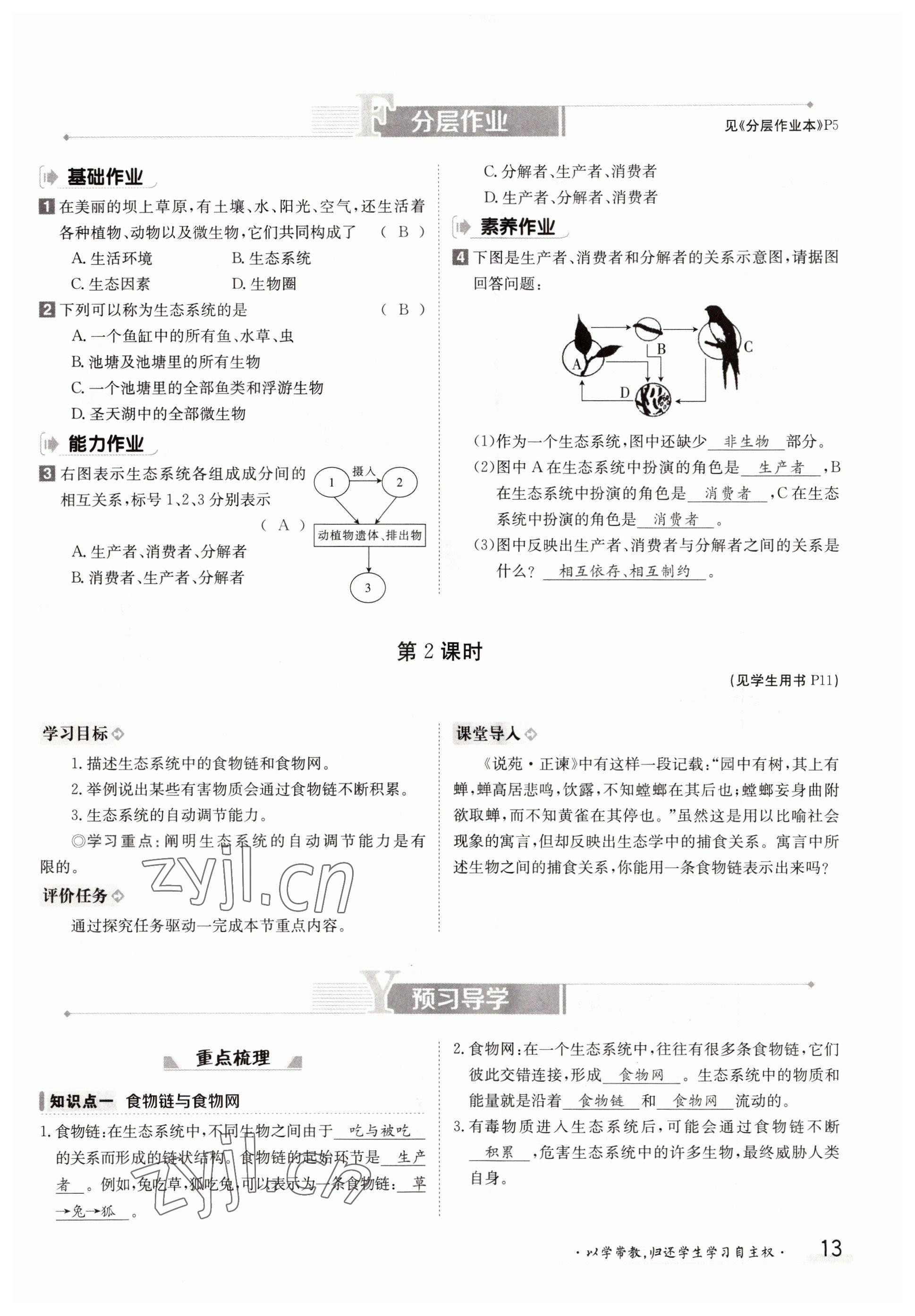 2022年金太陽分層作業本七年級生物上冊人教版 參考答案第13頁