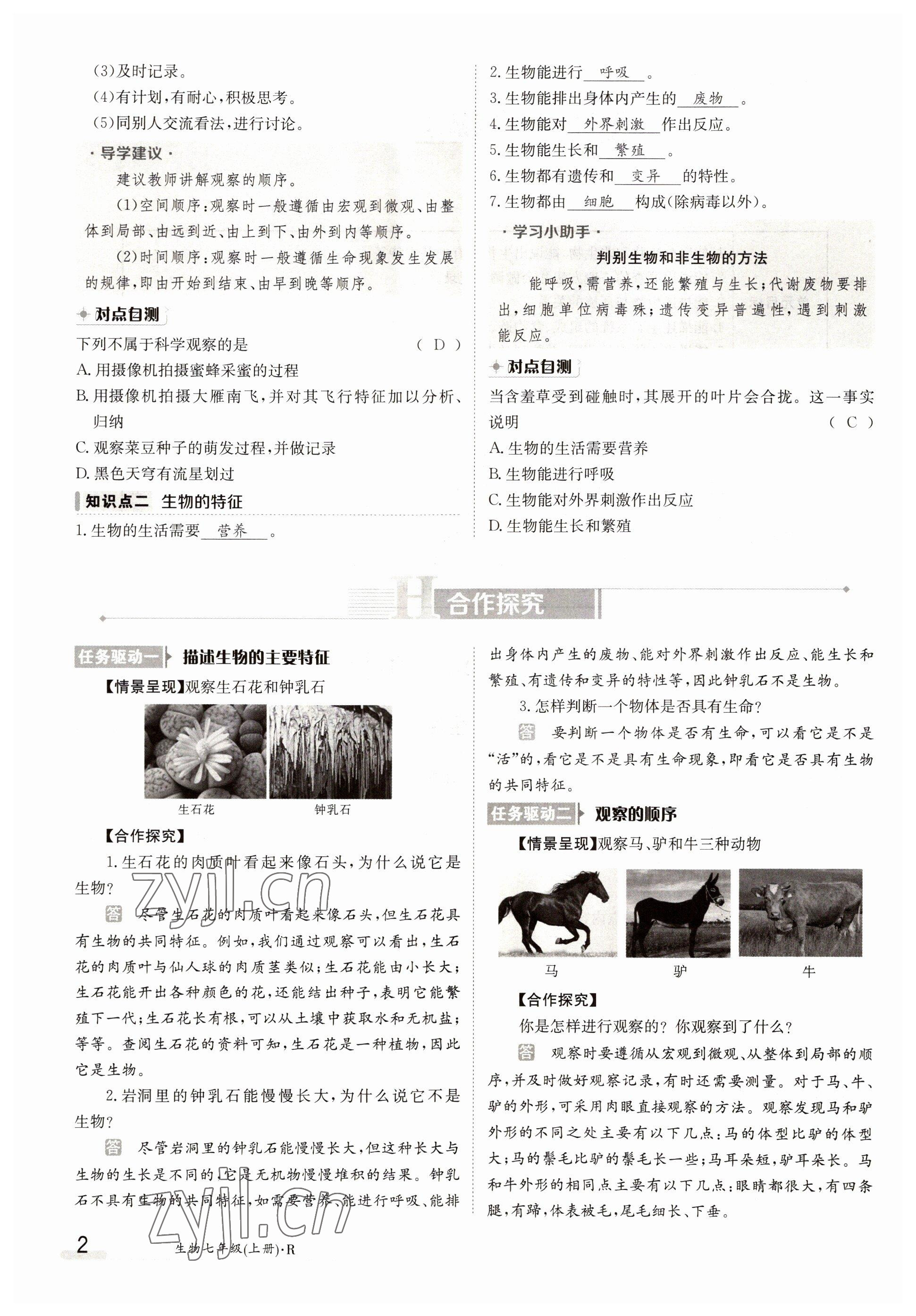 2022年金太陽分層作業本七年級生物上冊人教版 參考答案第2頁