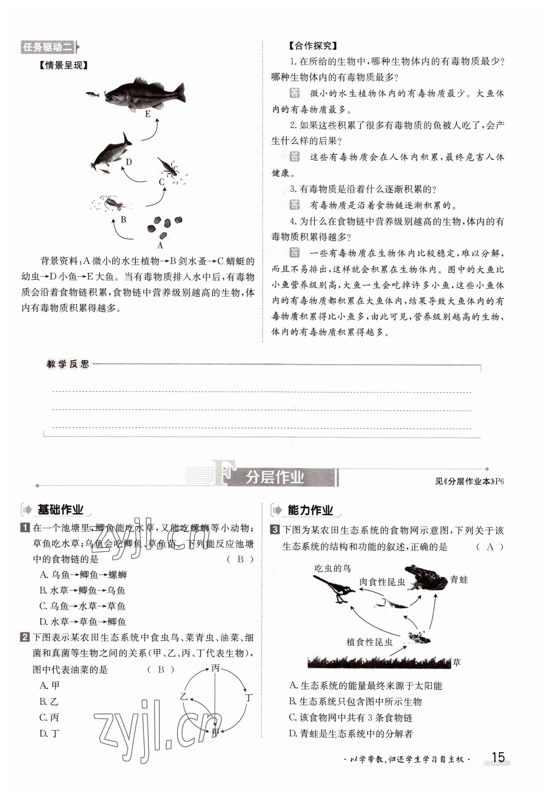 2022年金太陽分層作業本七年級生物上冊人教版 參考答案第15頁