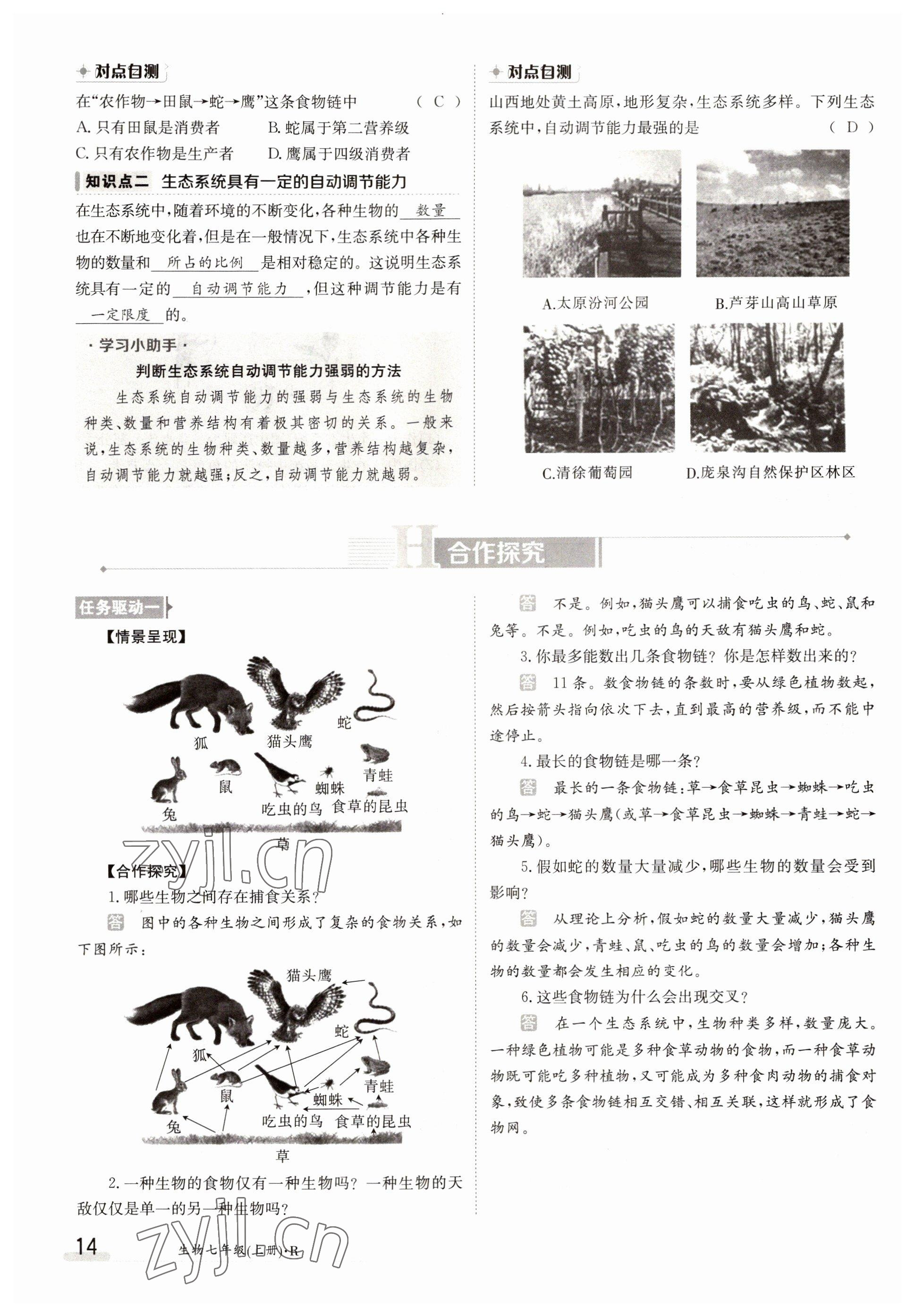 2022年金太陽分層作業本七年級生物上冊人教版 參考答案第14頁