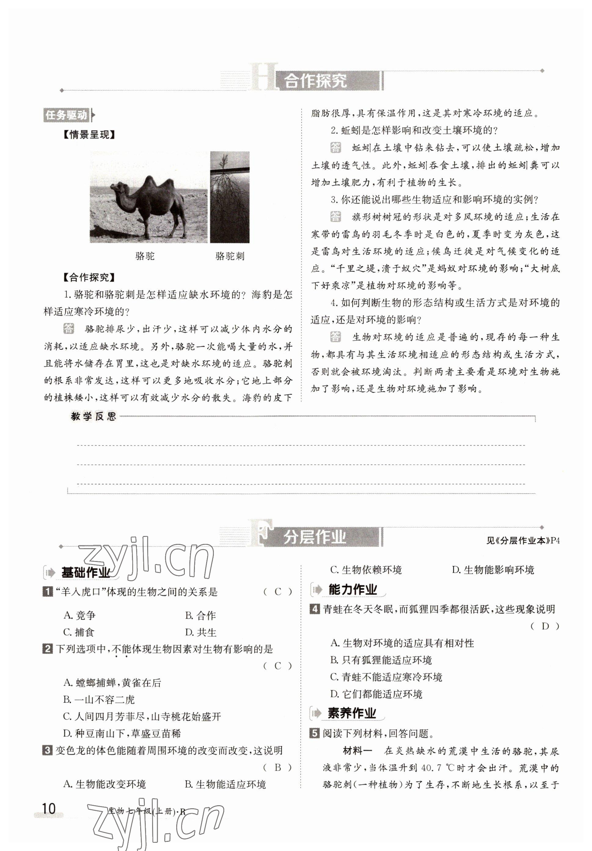 2022年金太陽分層作業本七年級生物上冊人教版 參考答案第10頁