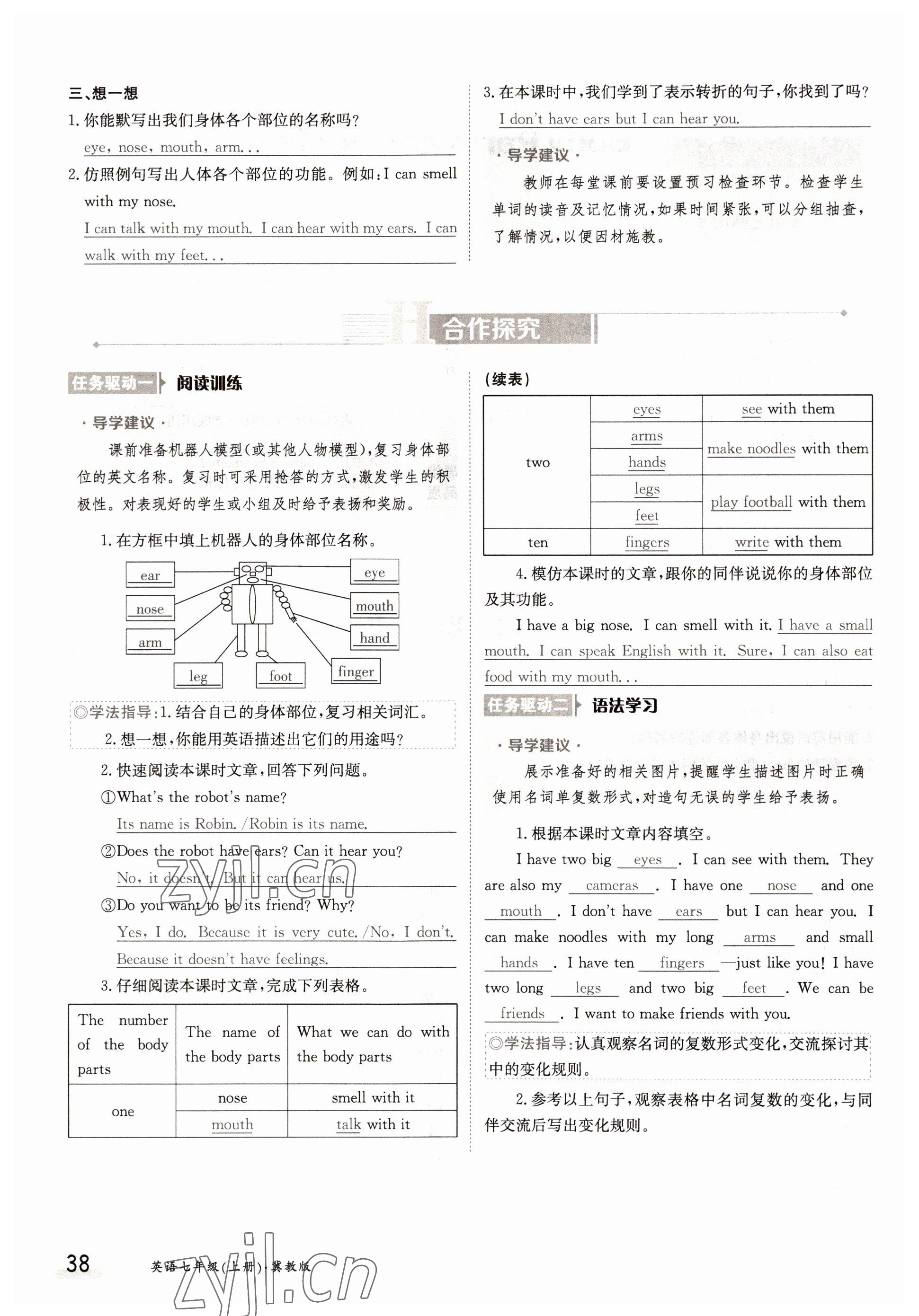 2022年金太陽分層作業本七年級英語上冊冀教版 參考答案第38頁