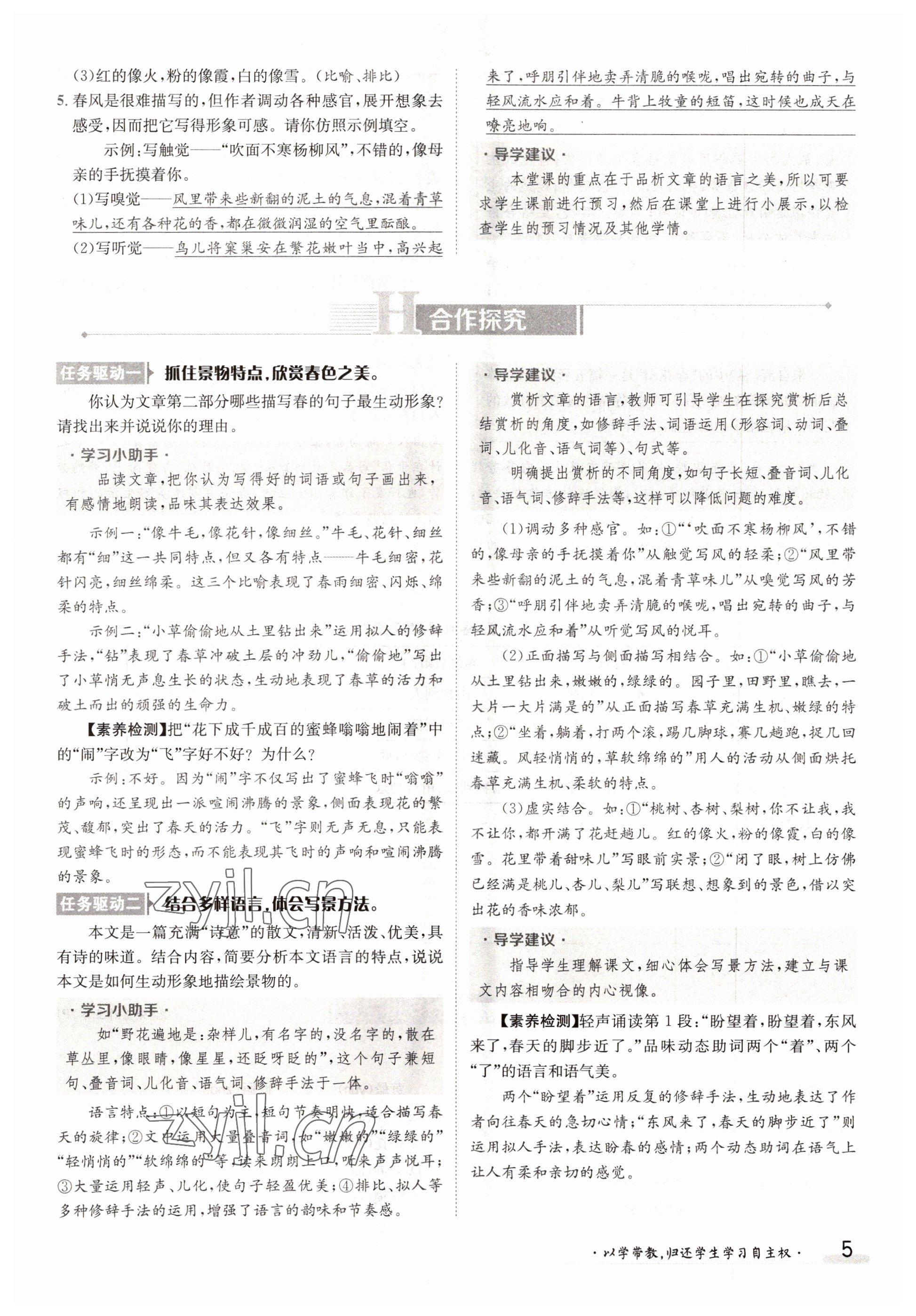 2022年金太陽分層作業本七年級語文上冊人教版 參考答案第5頁