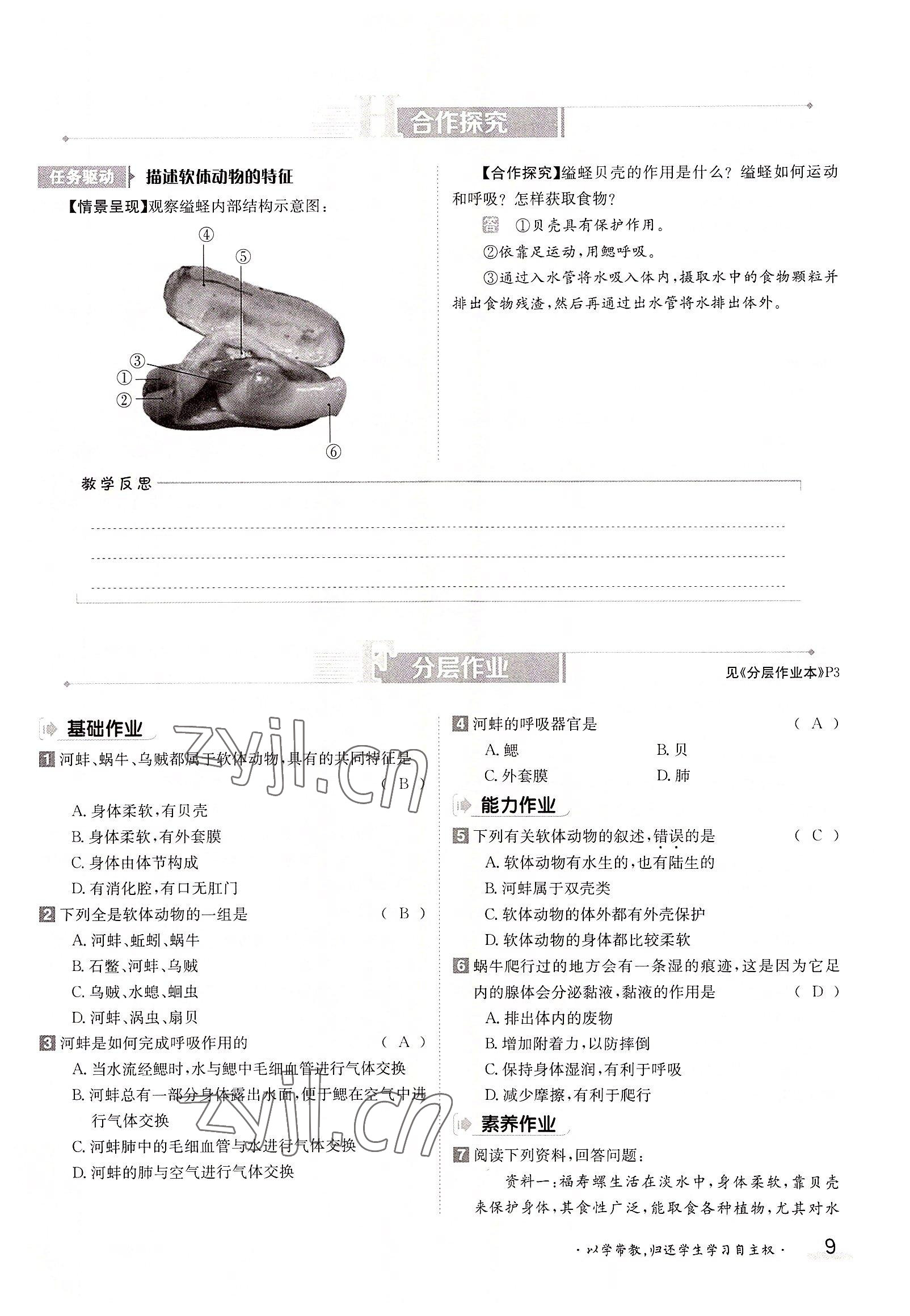 2022年金太陽(yáng)分層作業(yè)本八年級(jí)生物上冊(cè)人教版 參考答案第9頁(yè)