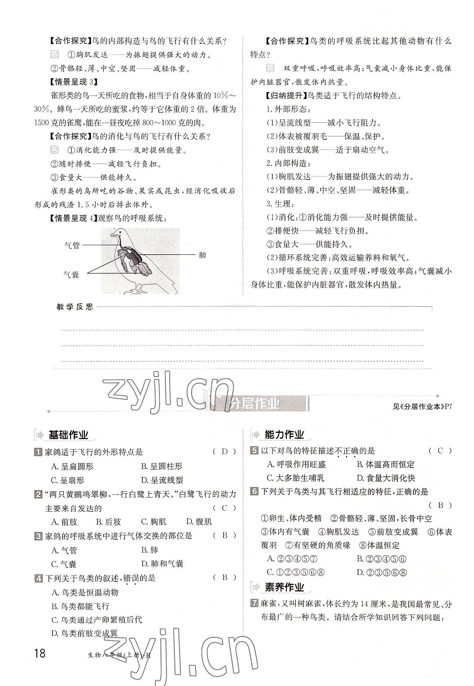2022年金太陽分層作業(yè)本八年級生物上冊人教版 參考答案第18頁