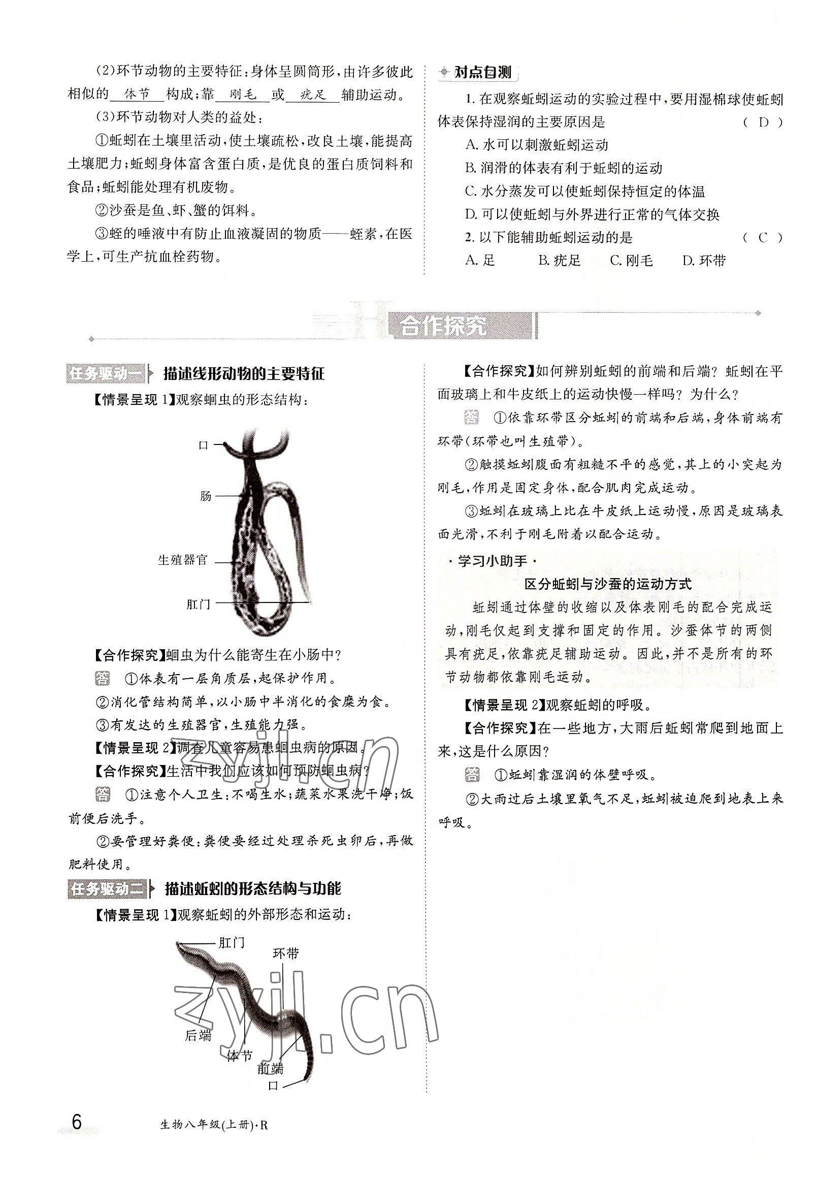 2022年金太陽分層作業(yè)本八年級生物上冊人教版 參考答案第6頁
