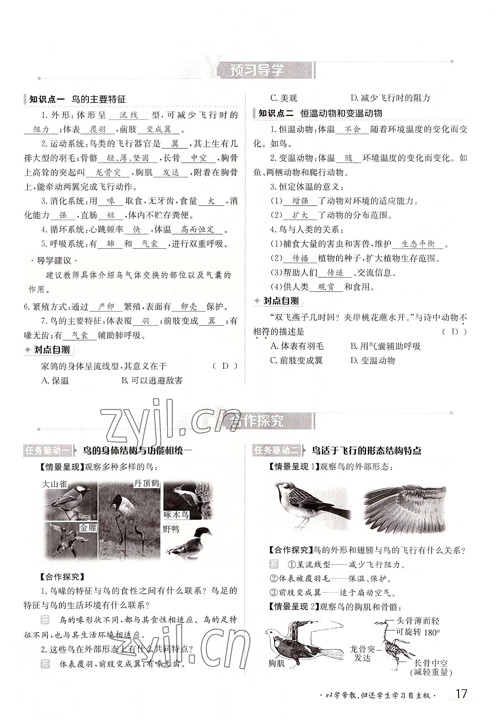 2022年金太陽分層作業(yè)本八年級(jí)生物上冊(cè)人教版 參考答案第17頁